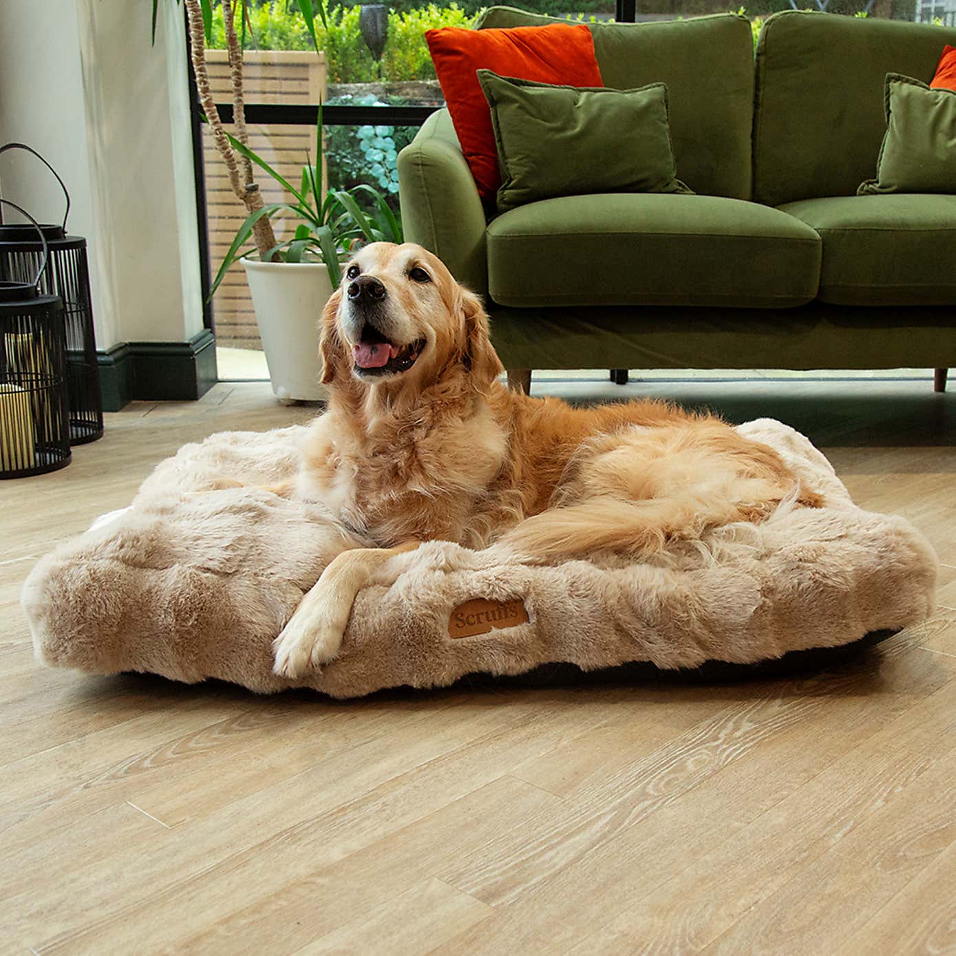 Scruffs Luxurious Alpine Dog Mattress