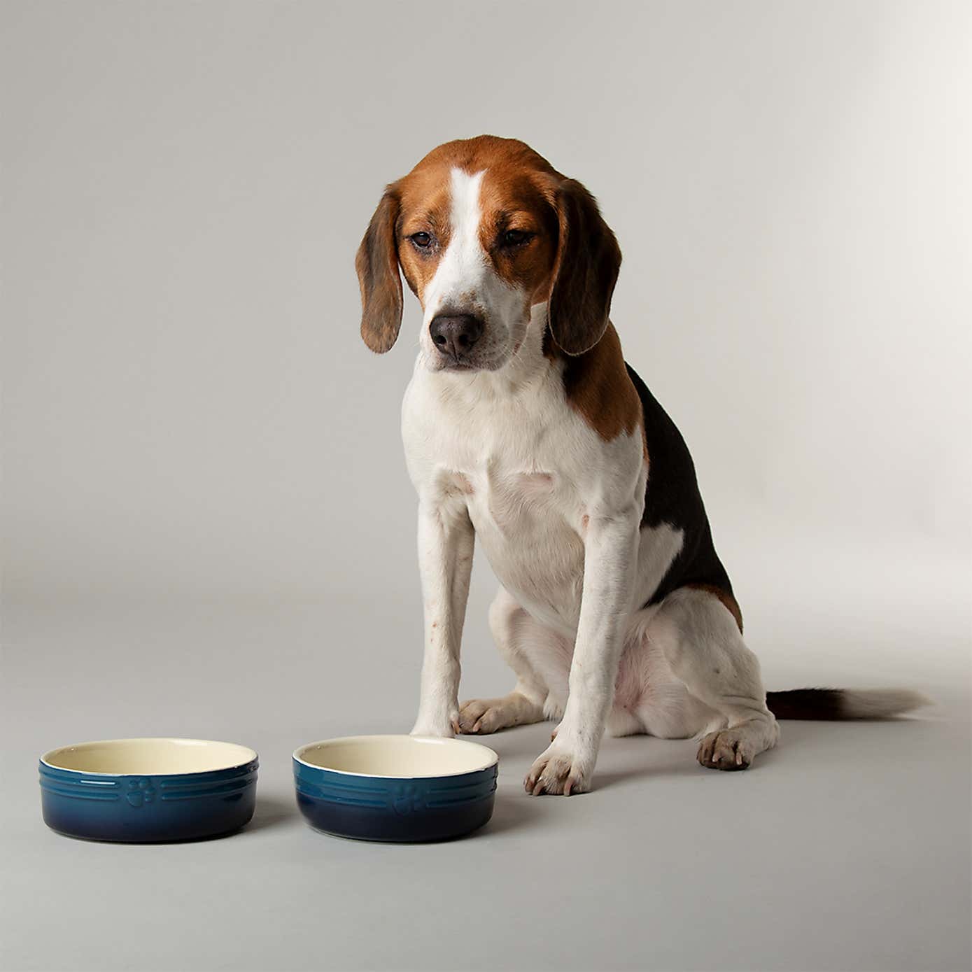 Set of 2 Scruffs Ombre Bowls