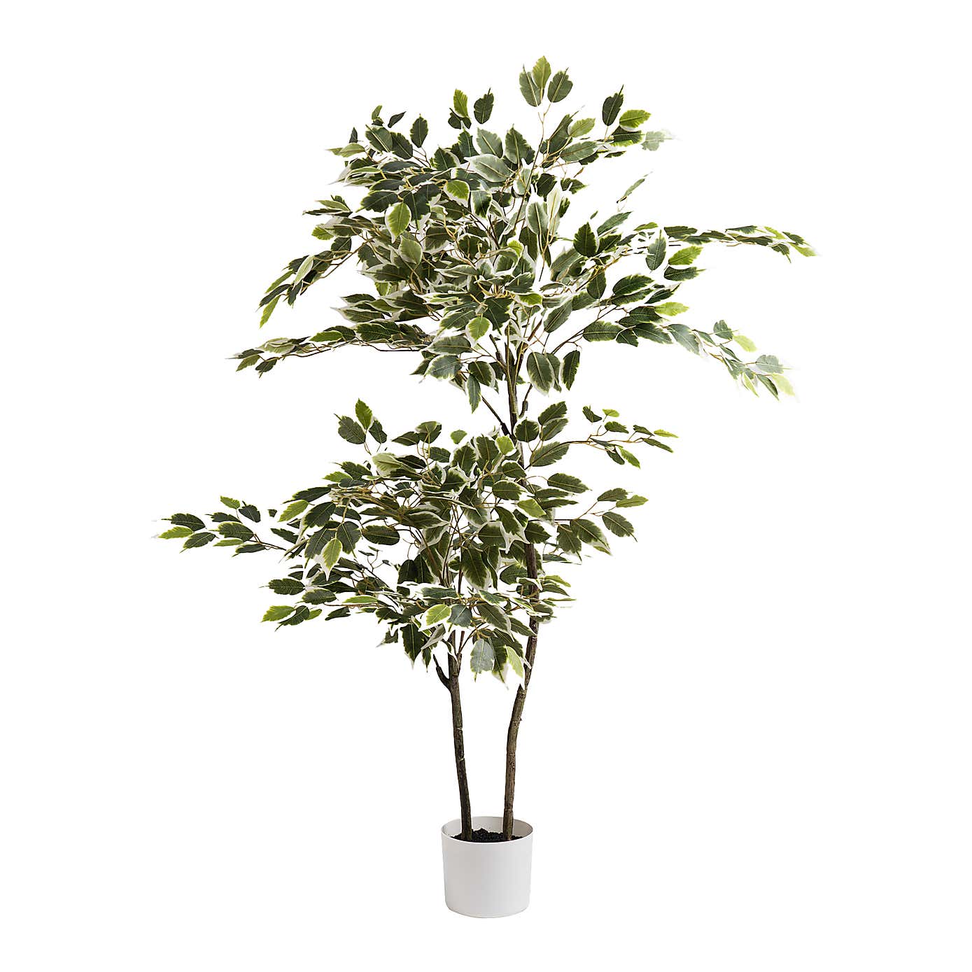 Artificial Variegated Ficus Tree in White Plant Pot