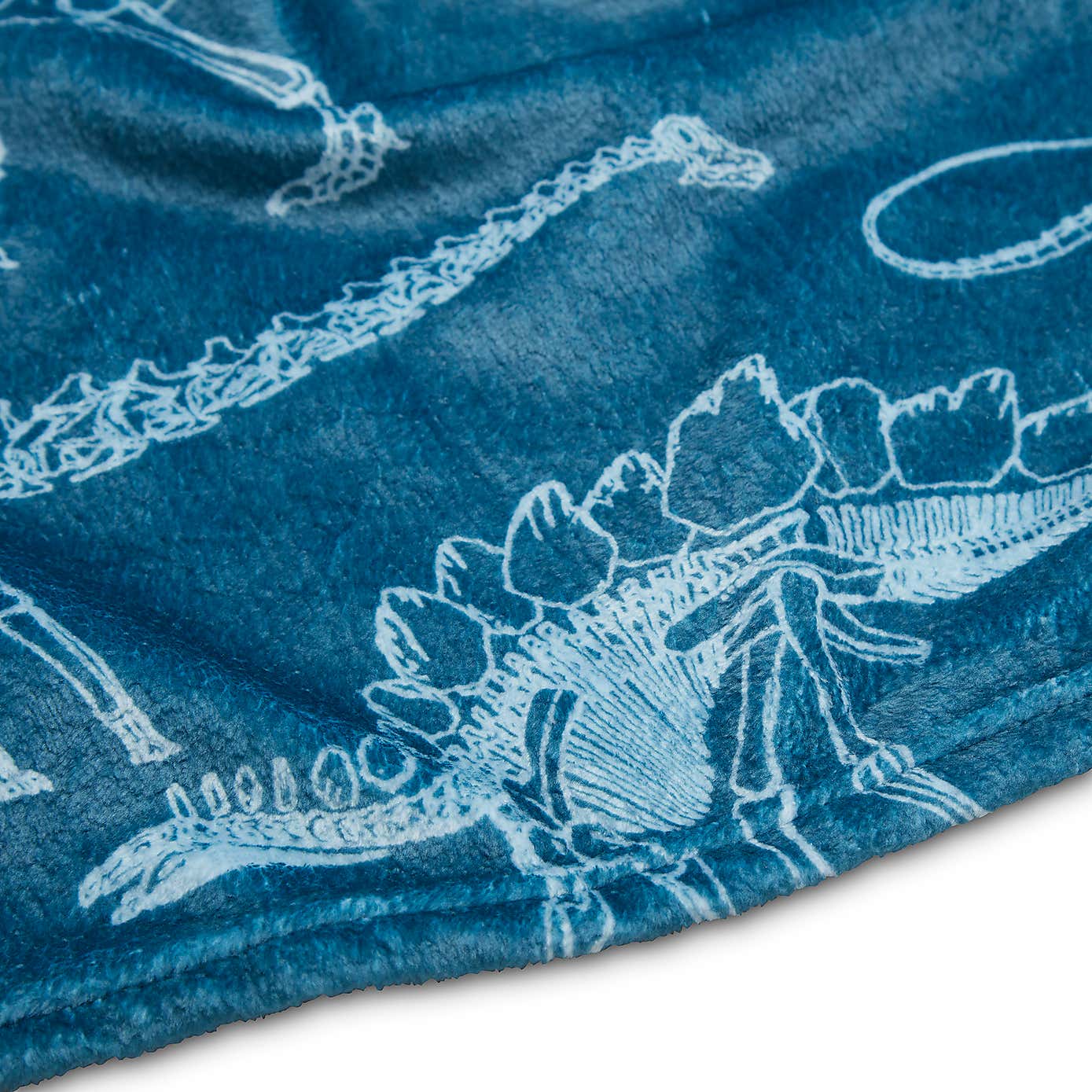 Age of Dinosaurs Blanket