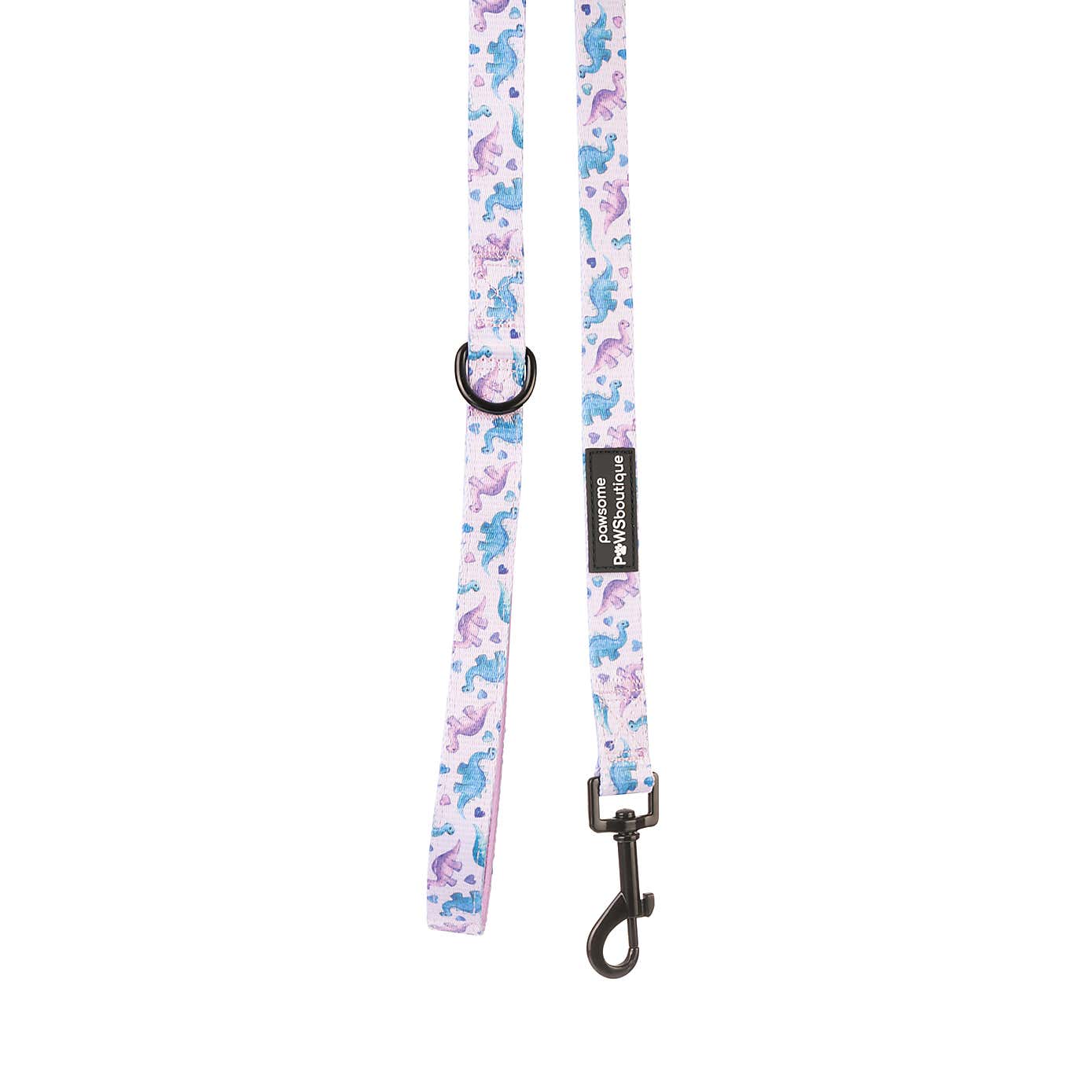 Tiny Diny Dog Collar and Lead Set