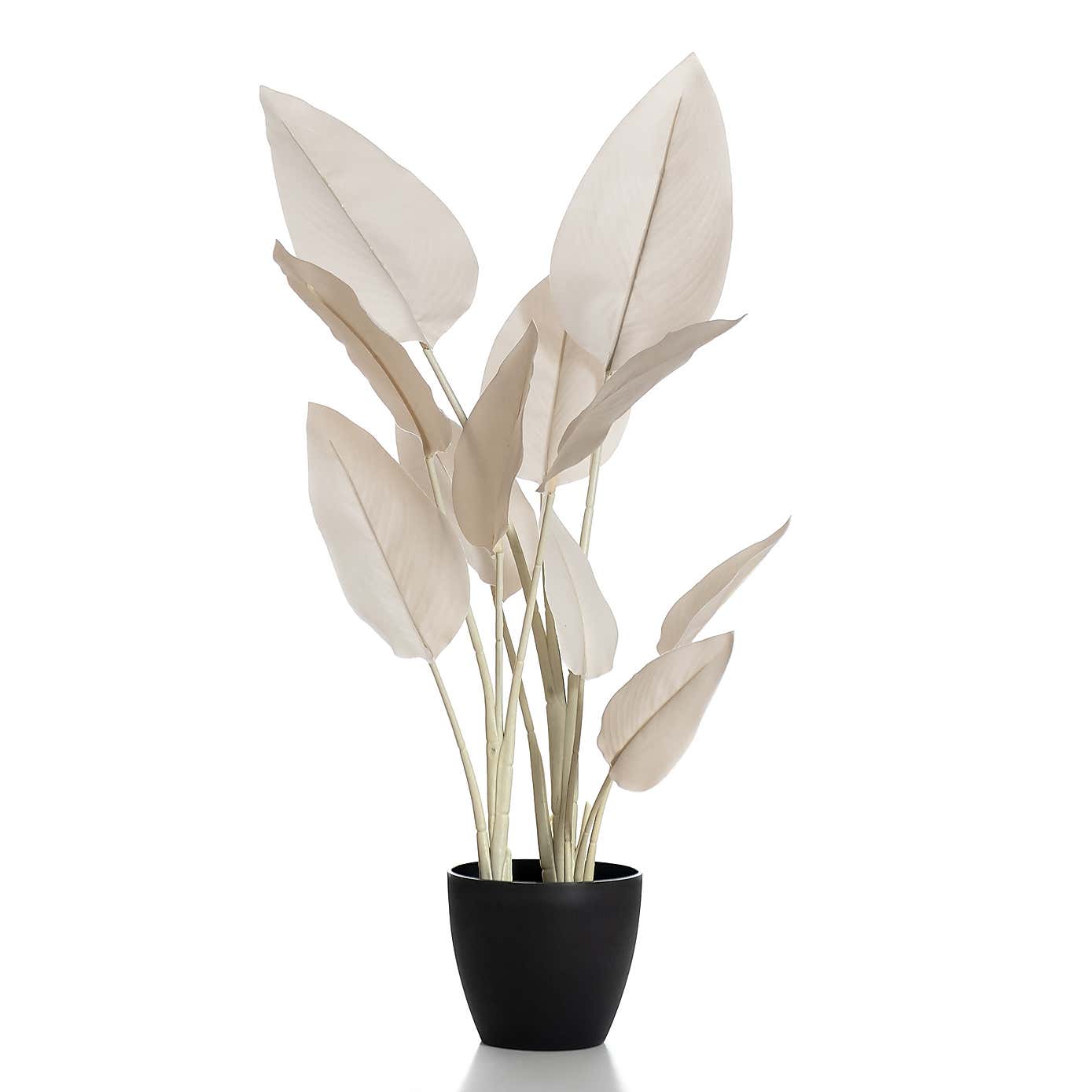 Artificial Cream Bird of Paradise Plant in Black Plant Pot