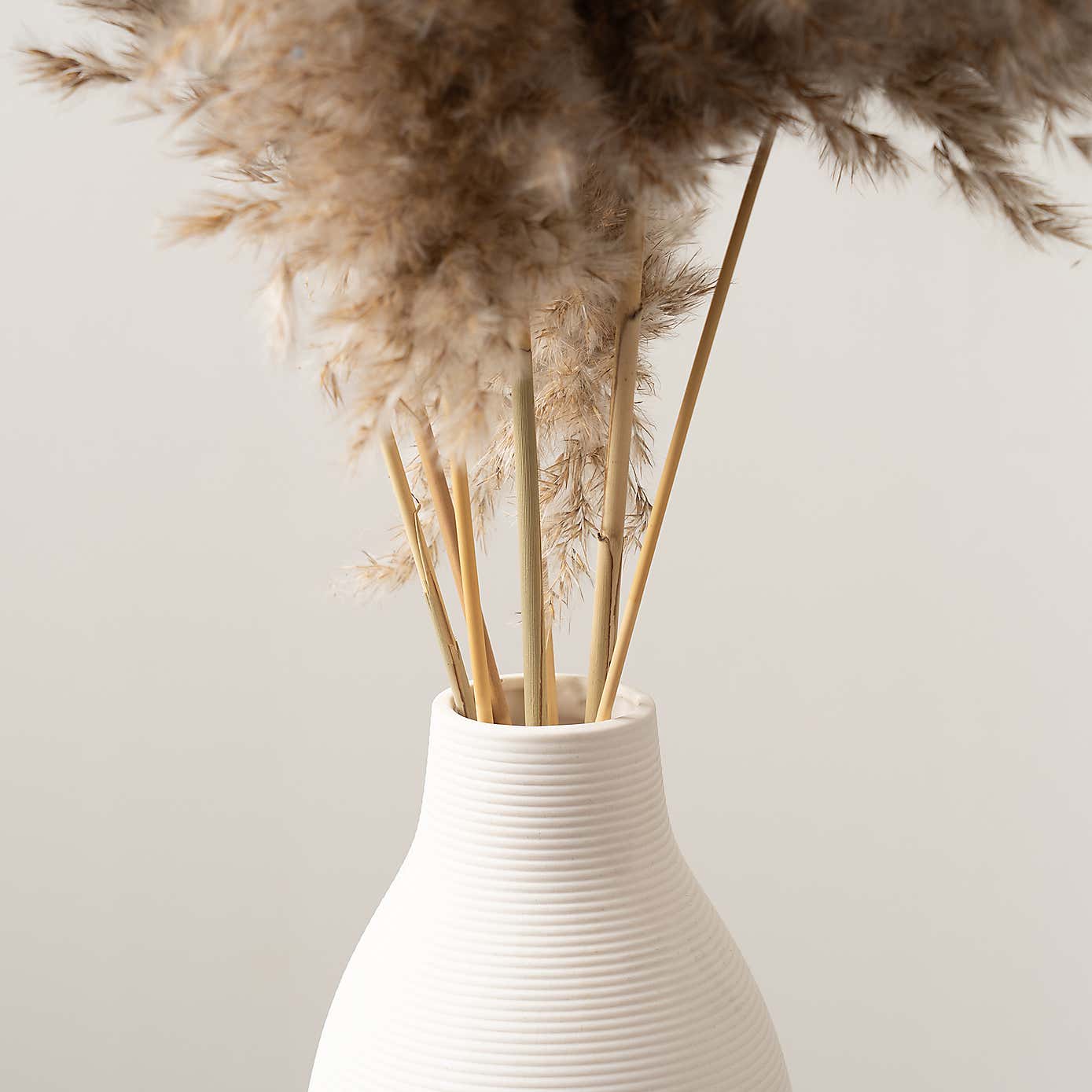 Pampas Grass in Ribbed Ceramic Vase