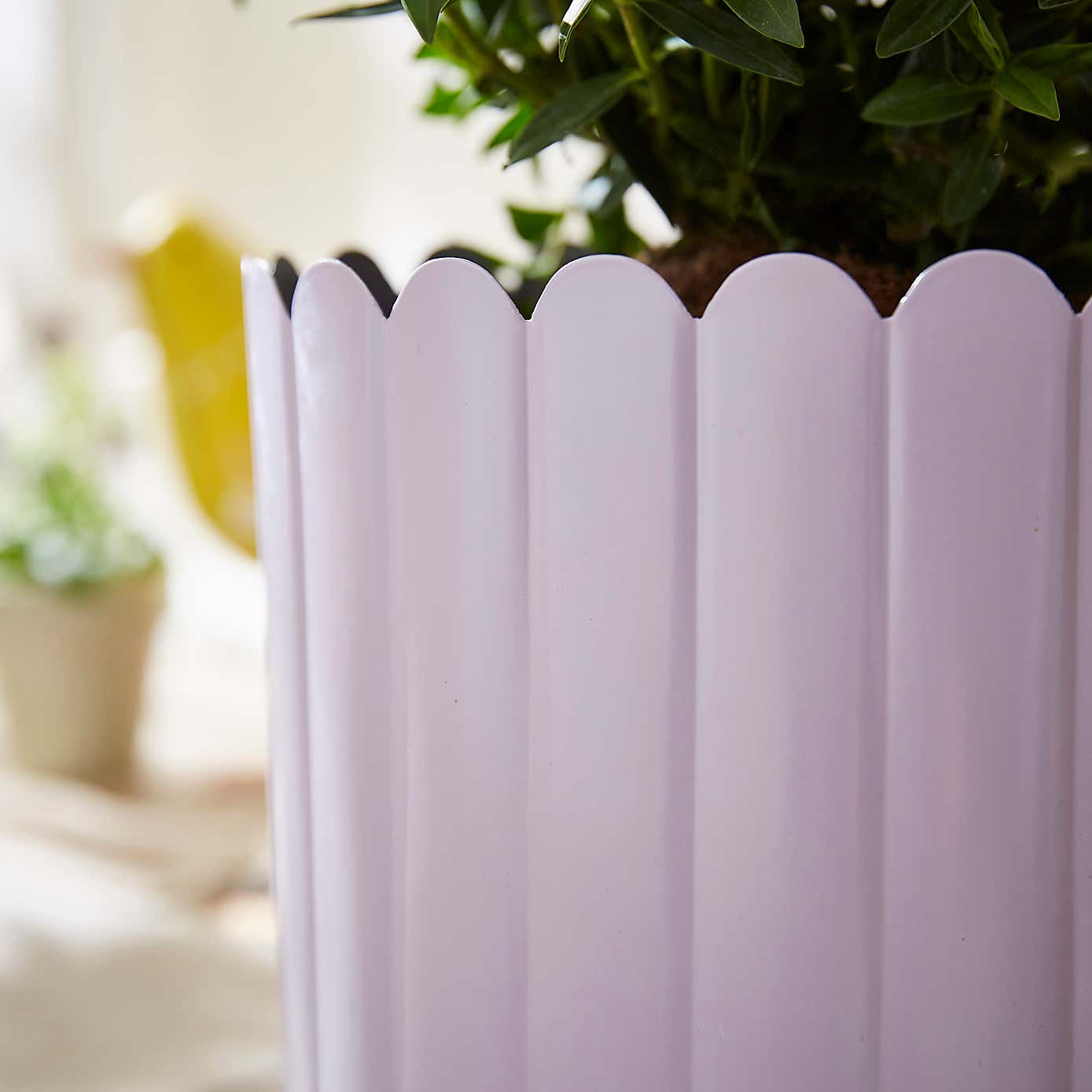 Bright Scalloped Metal Plant Pot