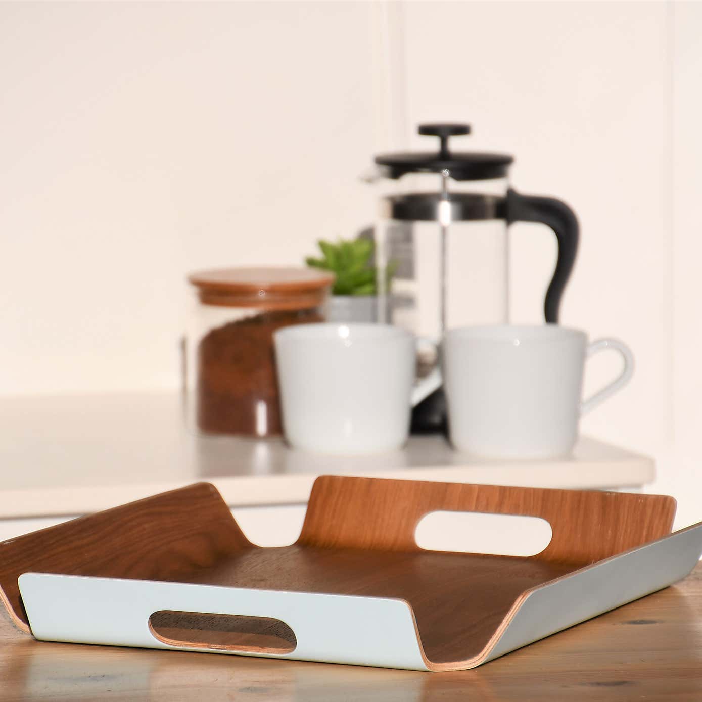 Botanicals Willow Large Tray