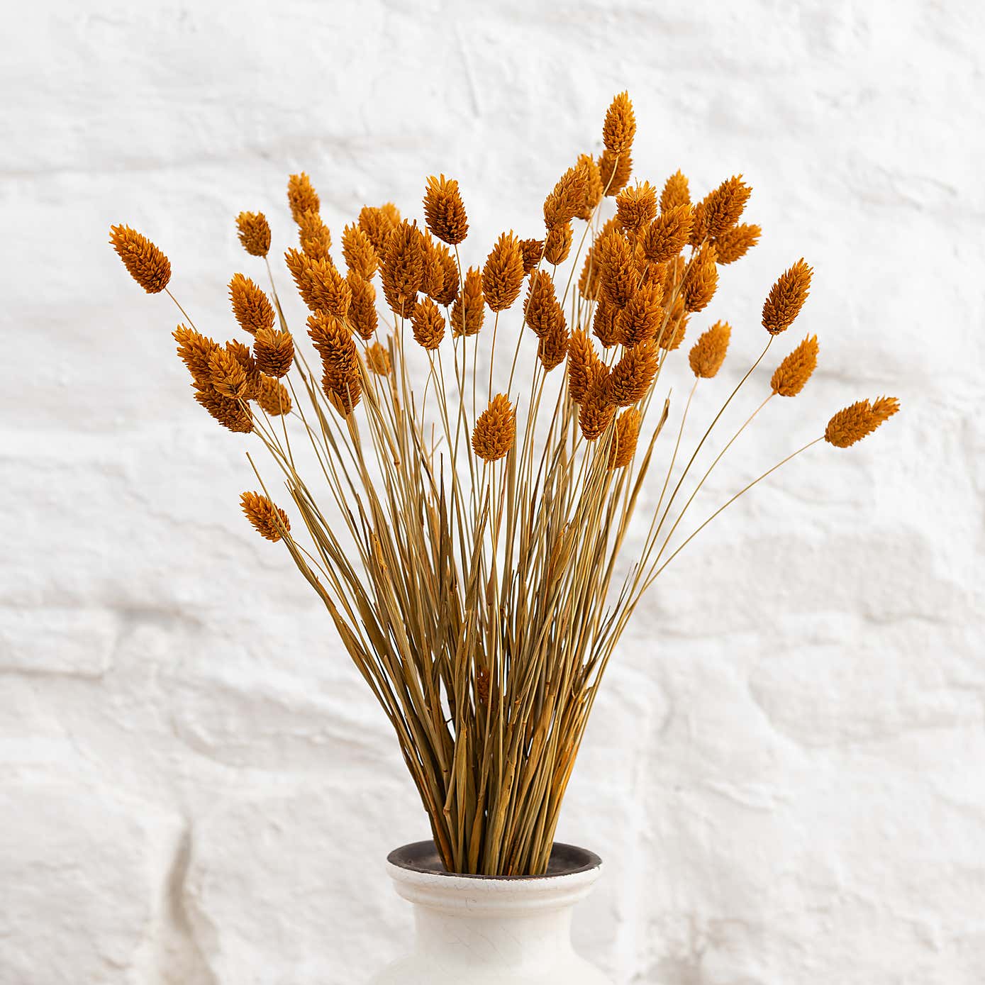 Dried Phalaris Bouquet