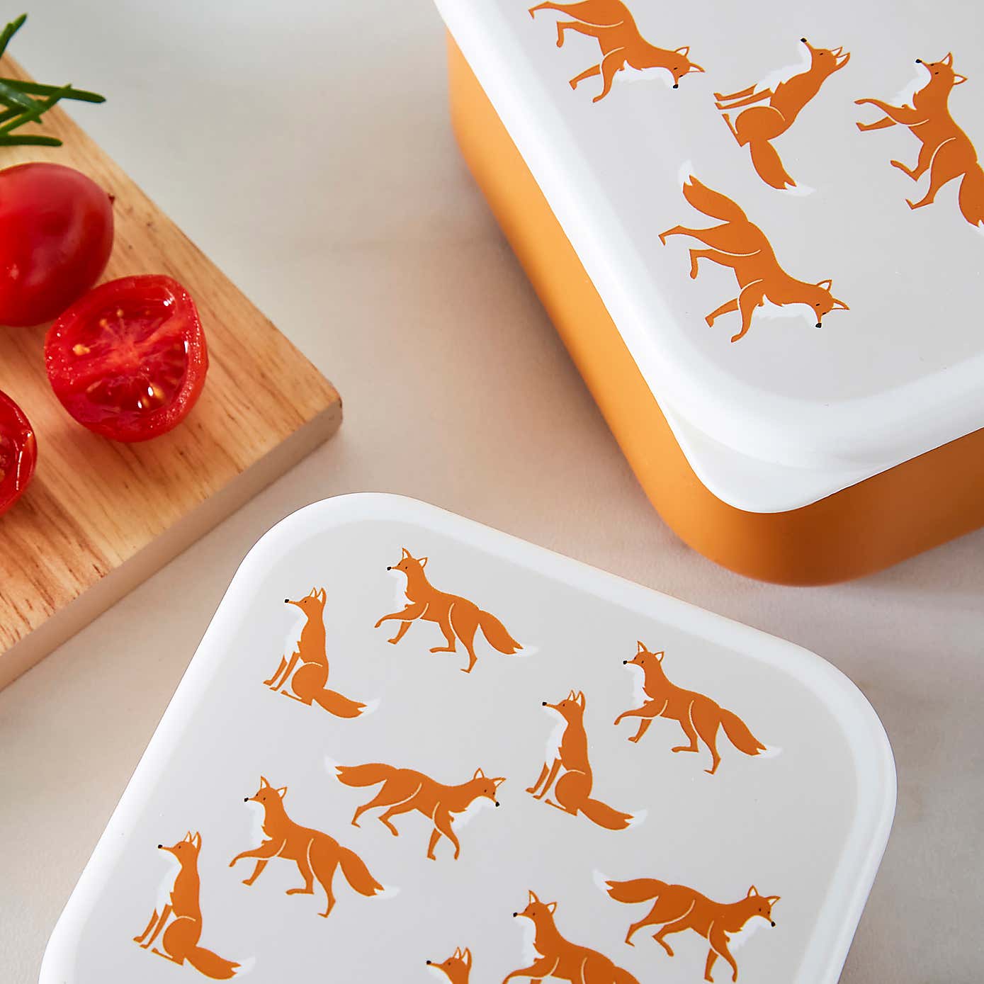 Fox Snack Boxes Set of 3