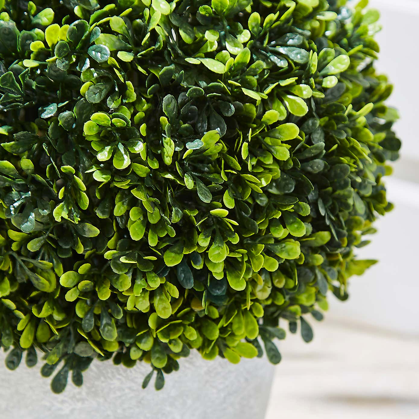 Round Topiary Tree in Grey Plant Pot
