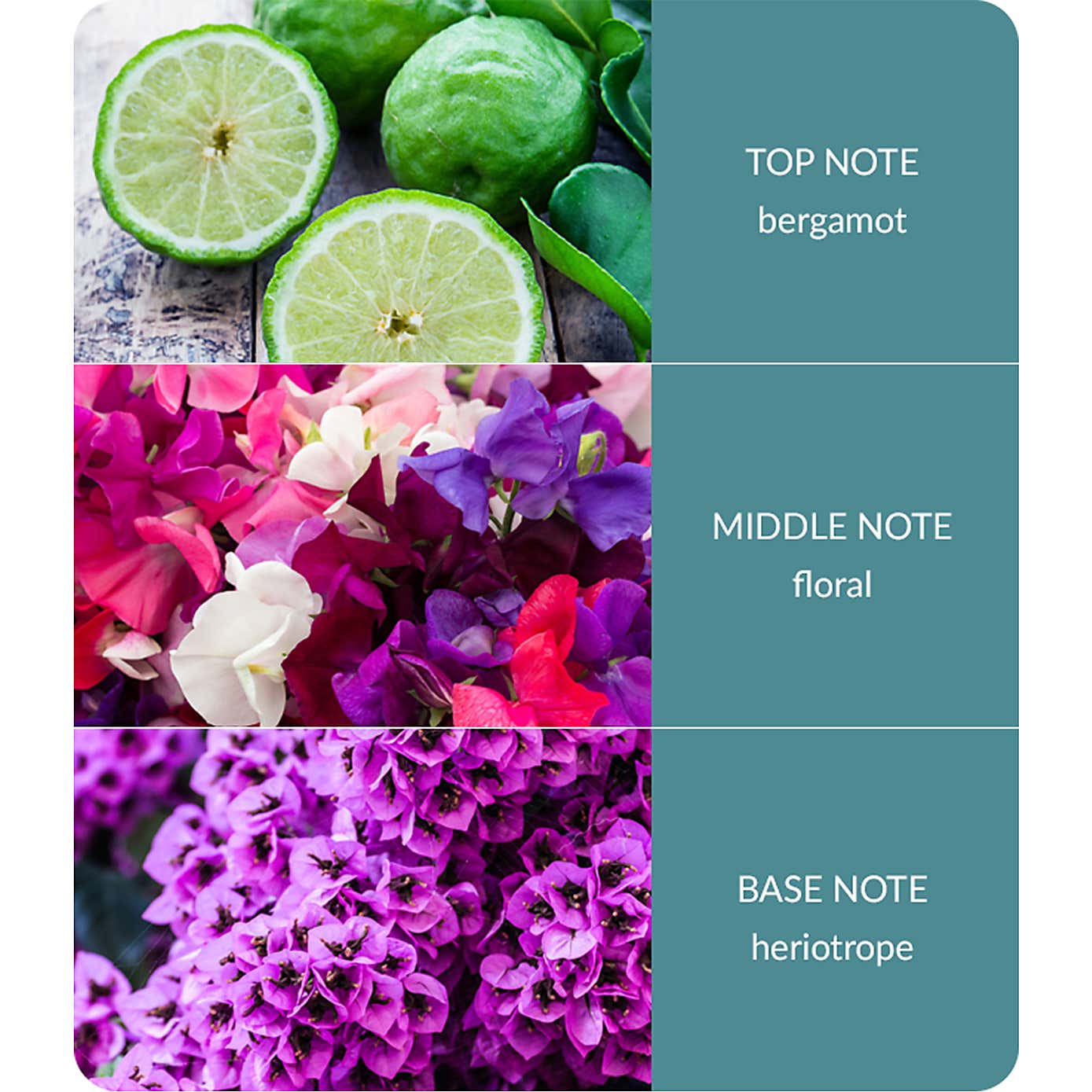 Heart and Home Ellipse Sweet Pea Multi Wick Candle