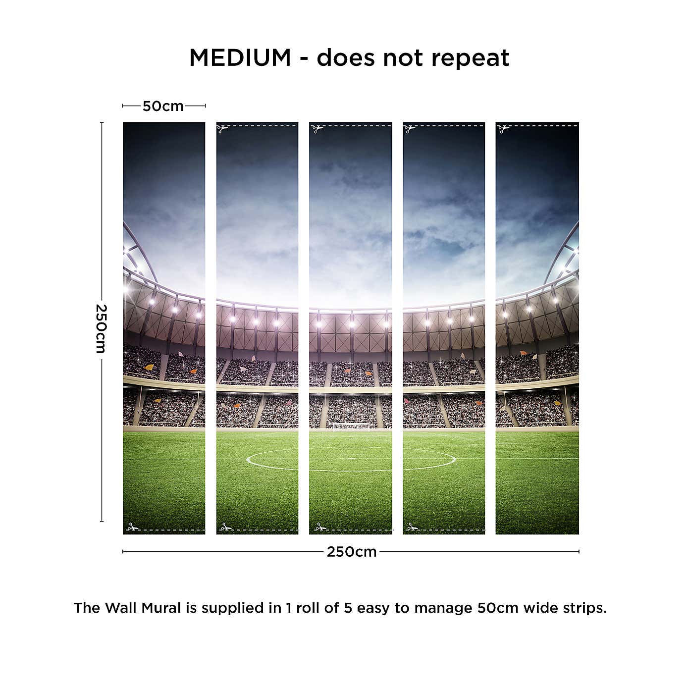 Football Stadium Wall Mural