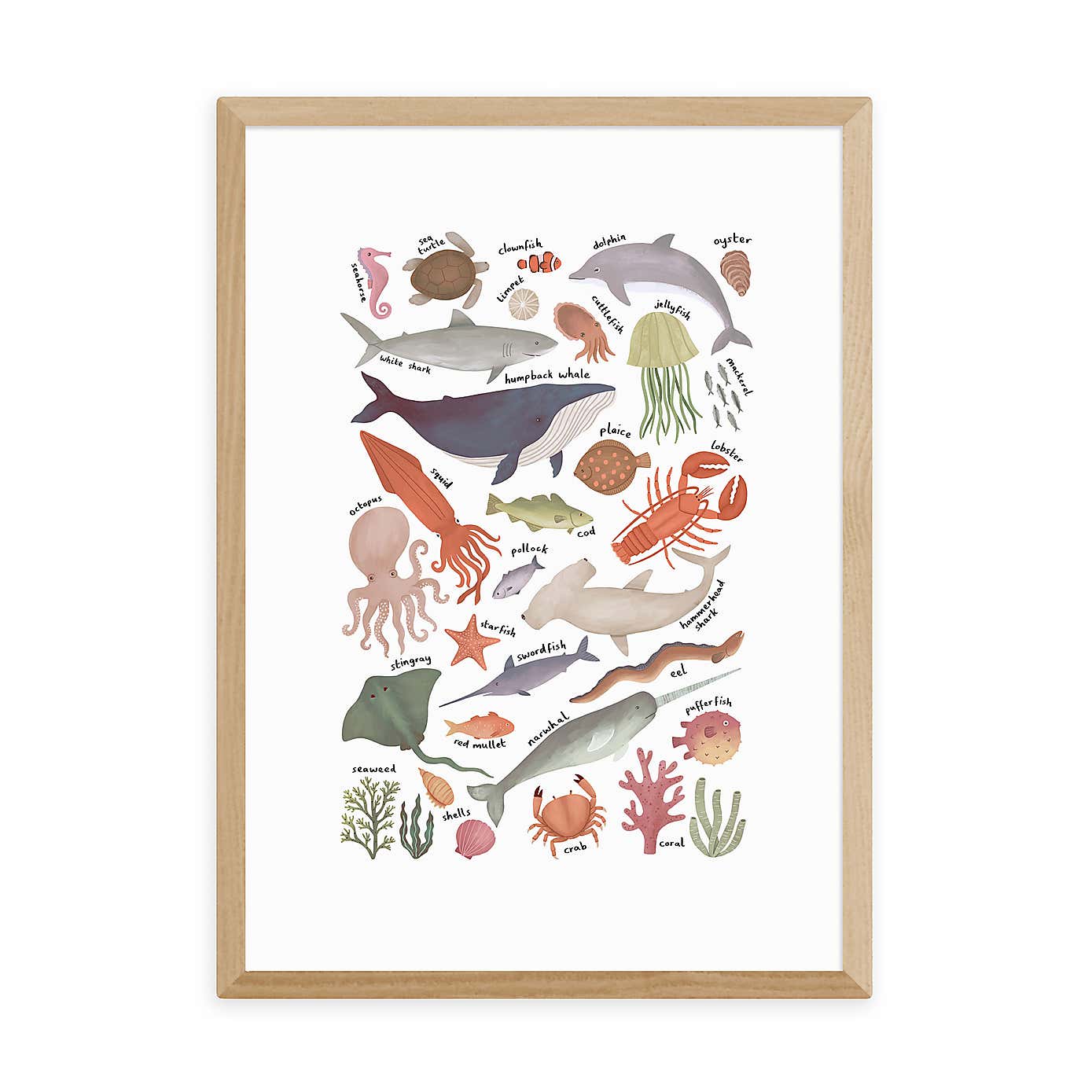 East End Prints Ocean Life Chart by Kid of the Village