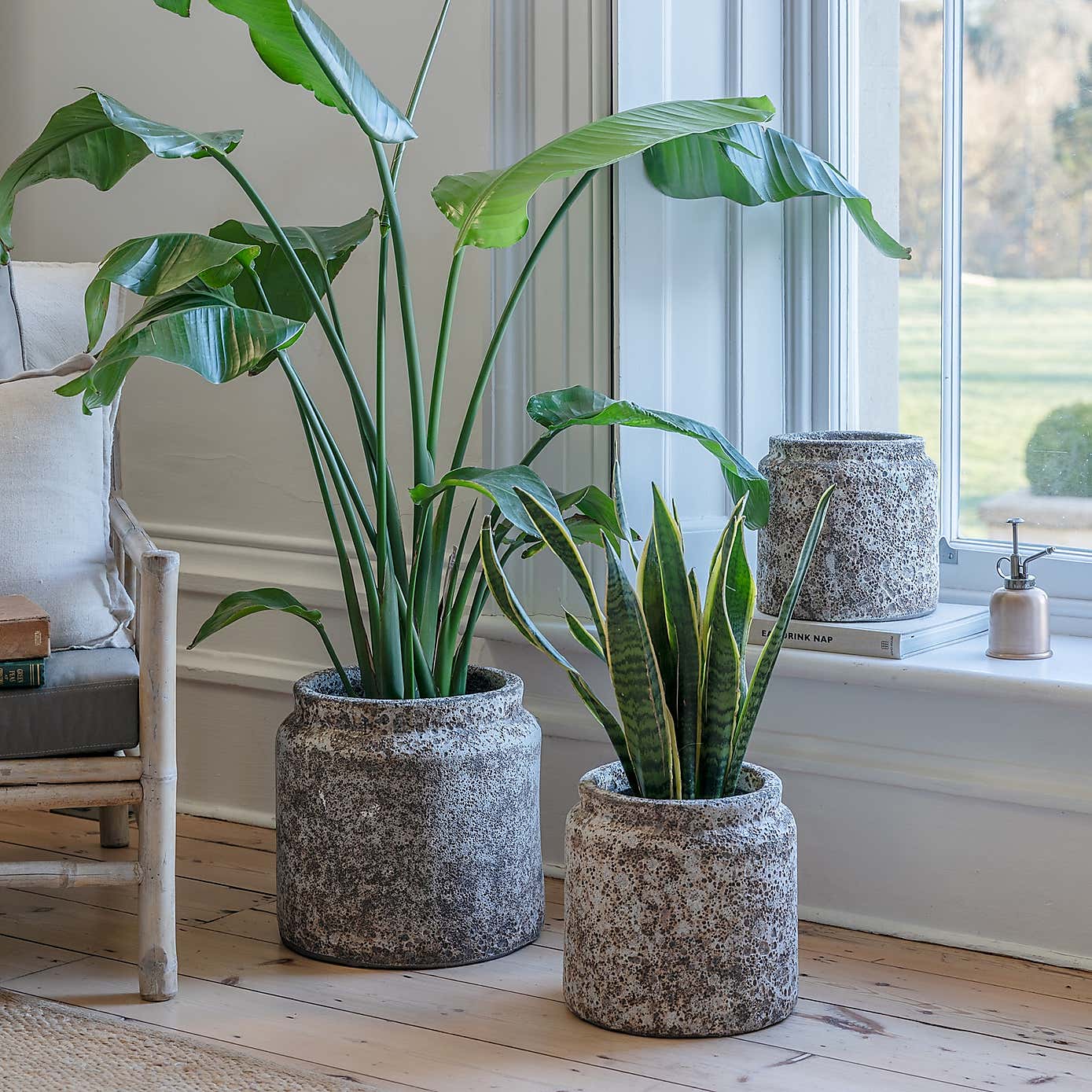 Kew Volcanic Texured Planter