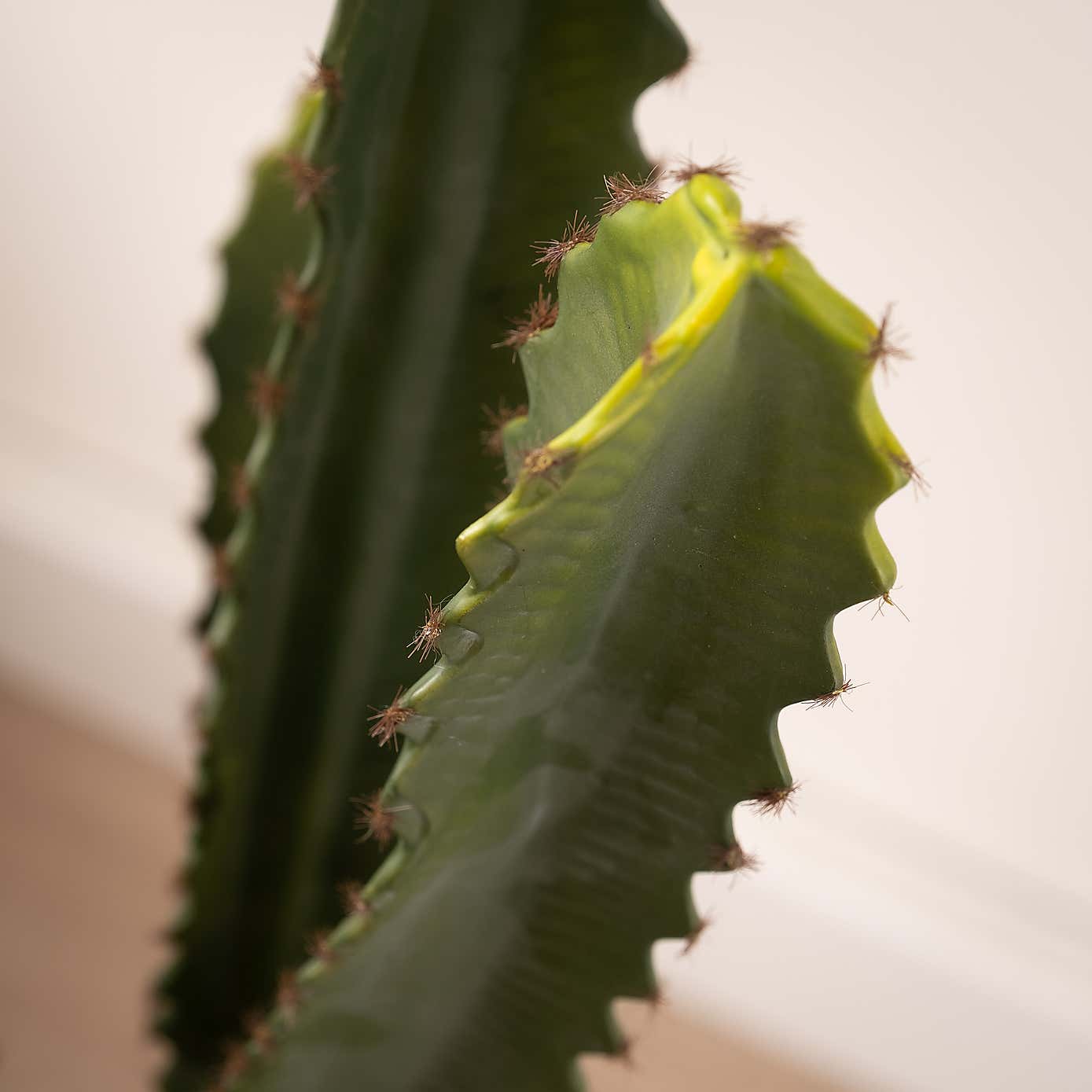 Artificial Euphorbia Cactus in Black Plastic Plant Pot