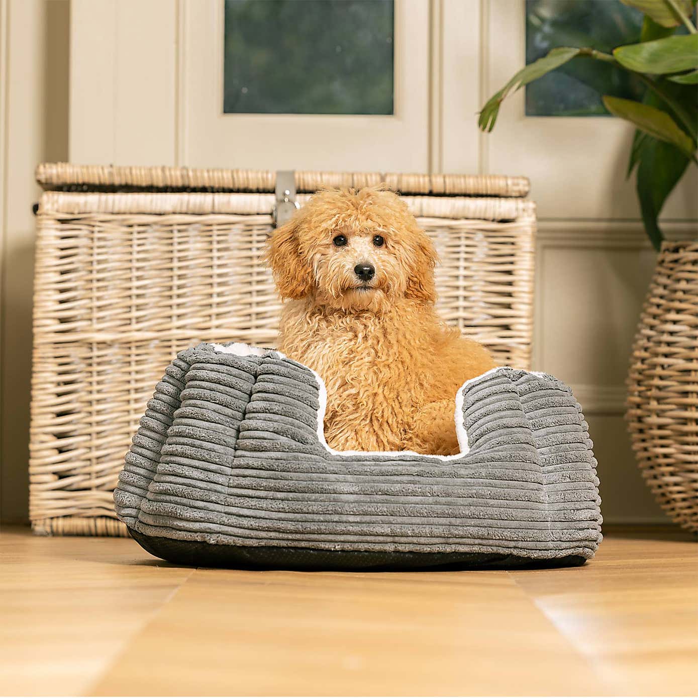 Lords and Labradors High Wall Dog Bed