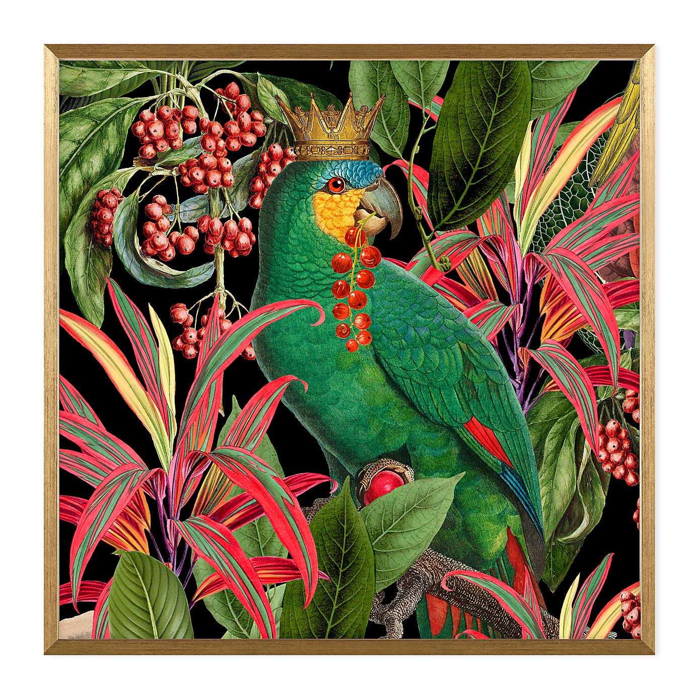 Parrot King II Framed Print