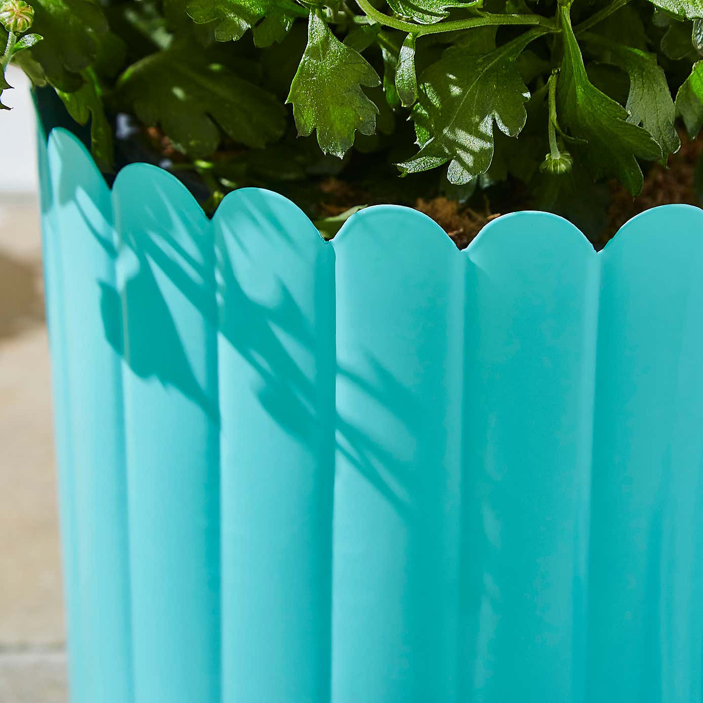 Bright Scalloped Metal Plant Pot