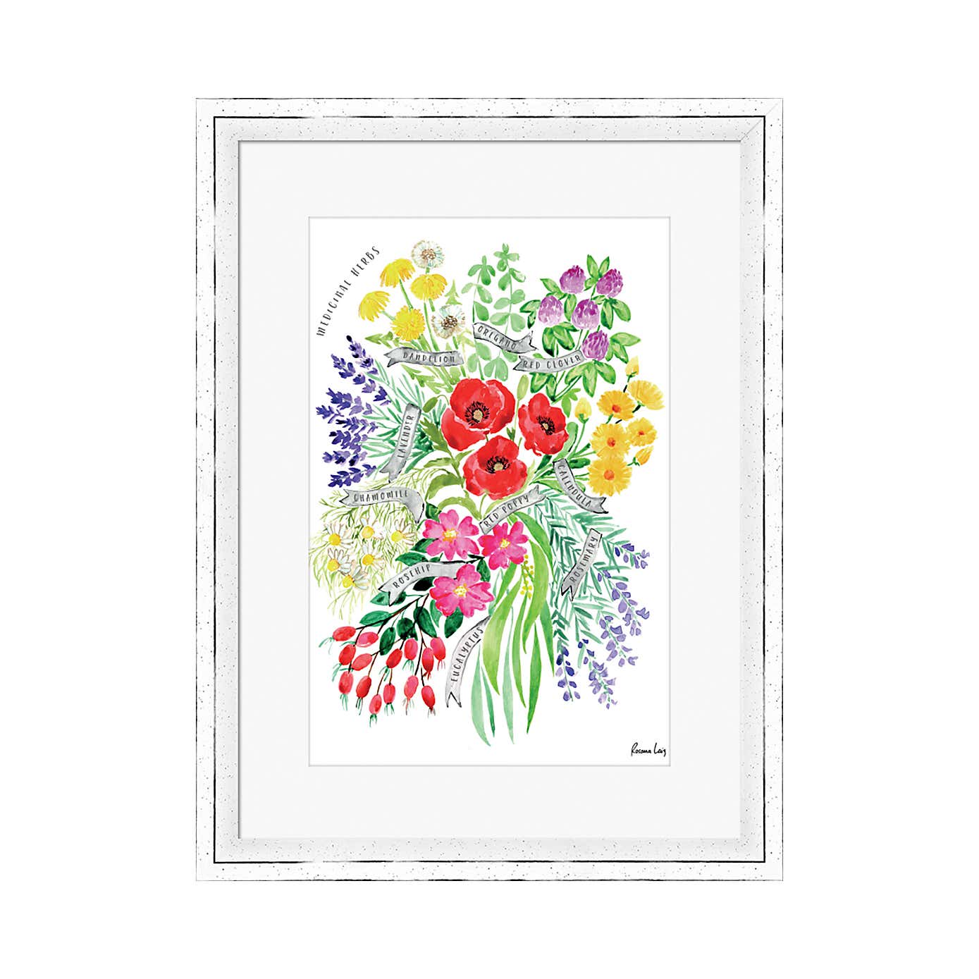 The Art Group Medicinal Herbs Watercolour Bouquet Framed Print