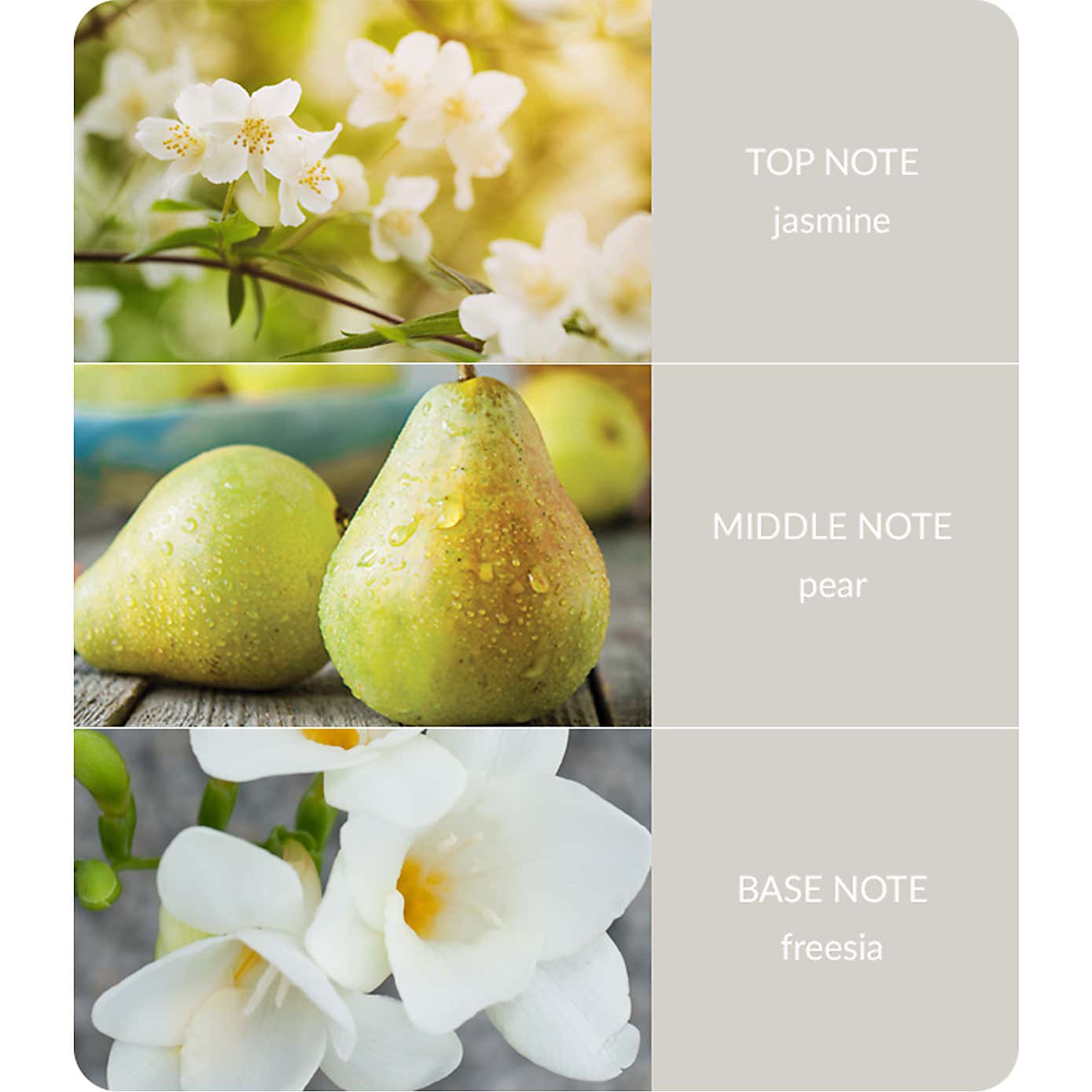 Heart and Home Ellipse White Jasmine & Freesia Multi Wick Candle