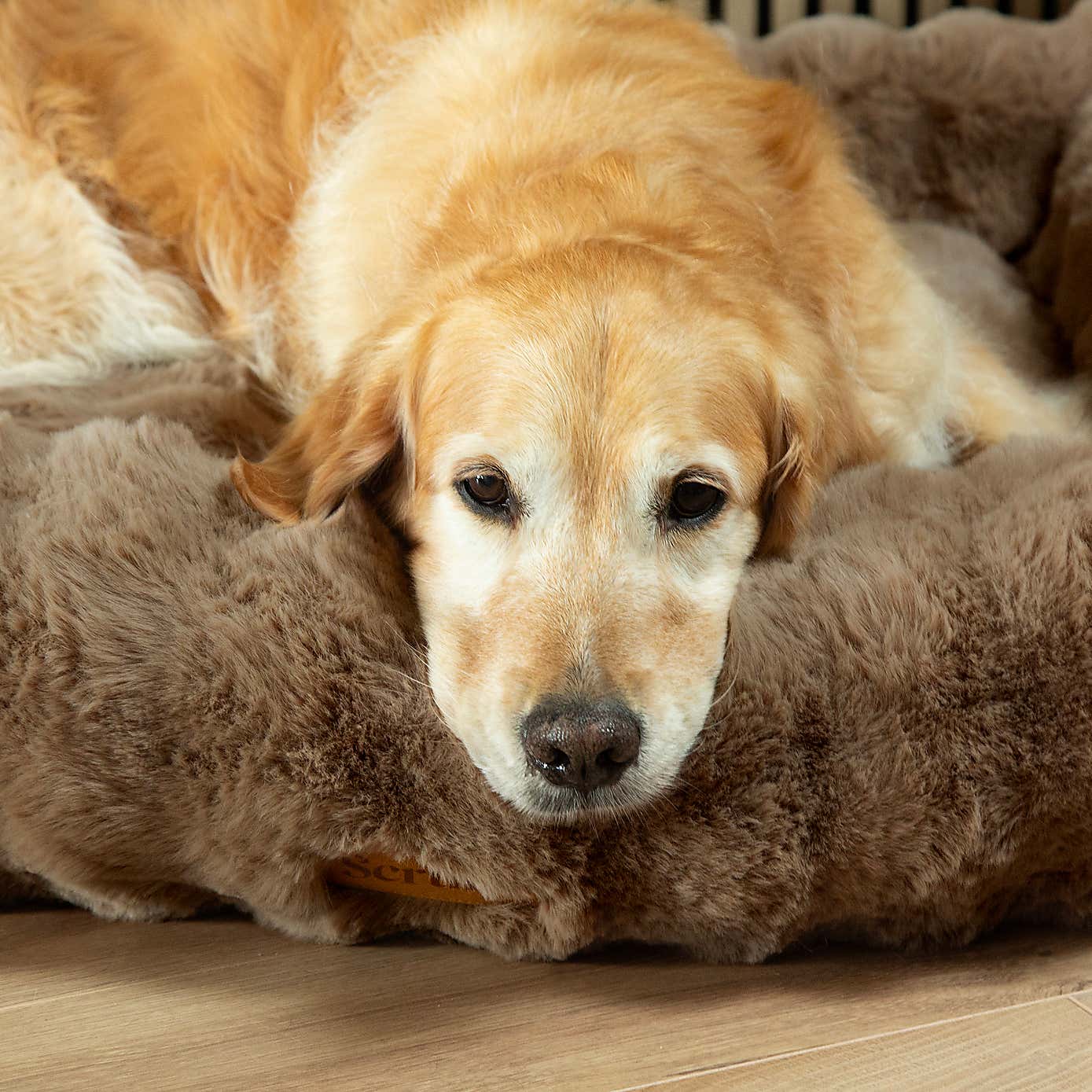 Scruffs Luxurious Alpine Dog Box Bed