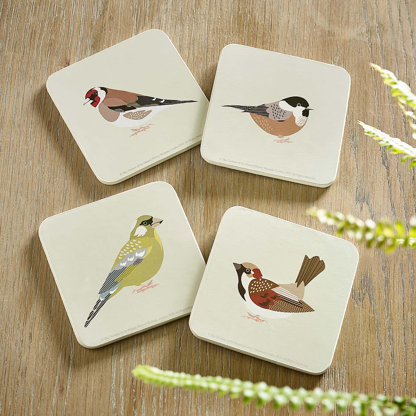 Set of 4 Birds Coasters