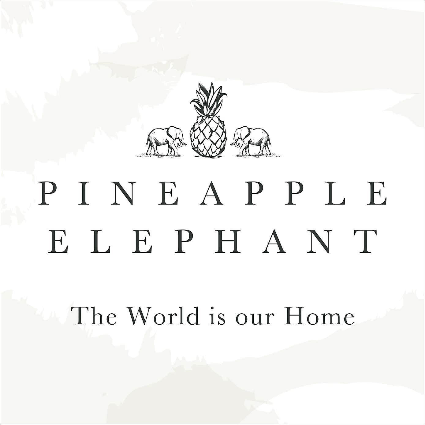 Pineapple Elephant Casablanca Pinsonic Pillowsham Pair