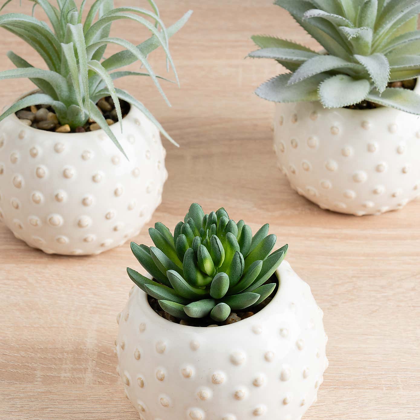 Set of 3 Artificial Succulents