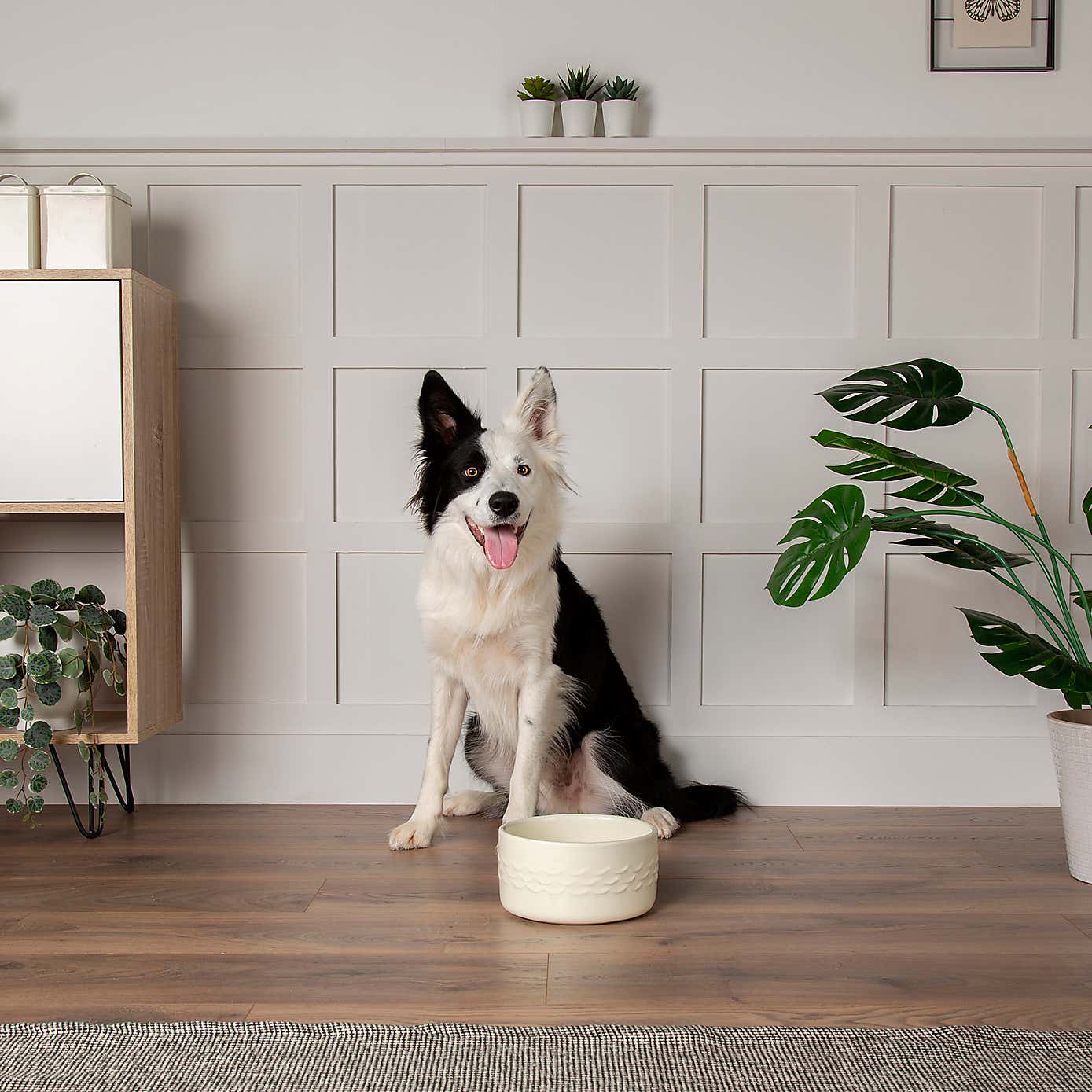 Scruffs Set of 2 Large Classic Dog Bowls