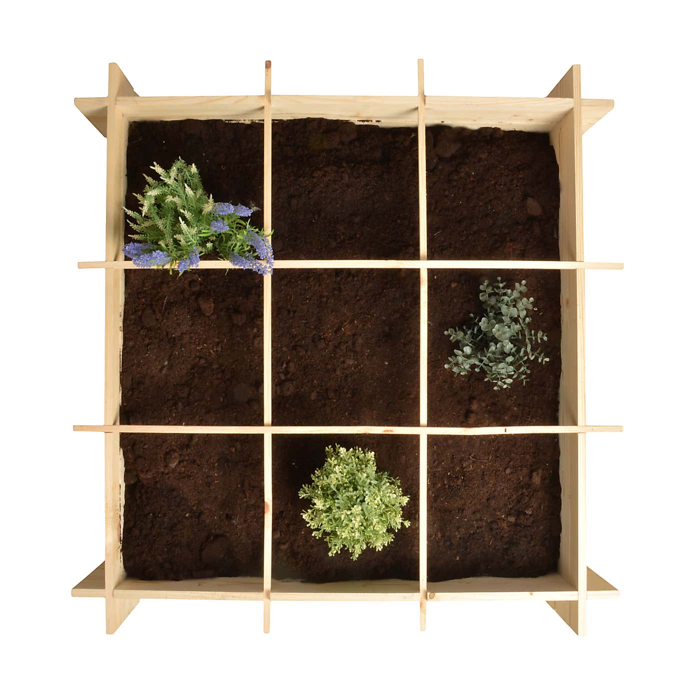Fallen Fruits Wooden Square Metre Garden Frame