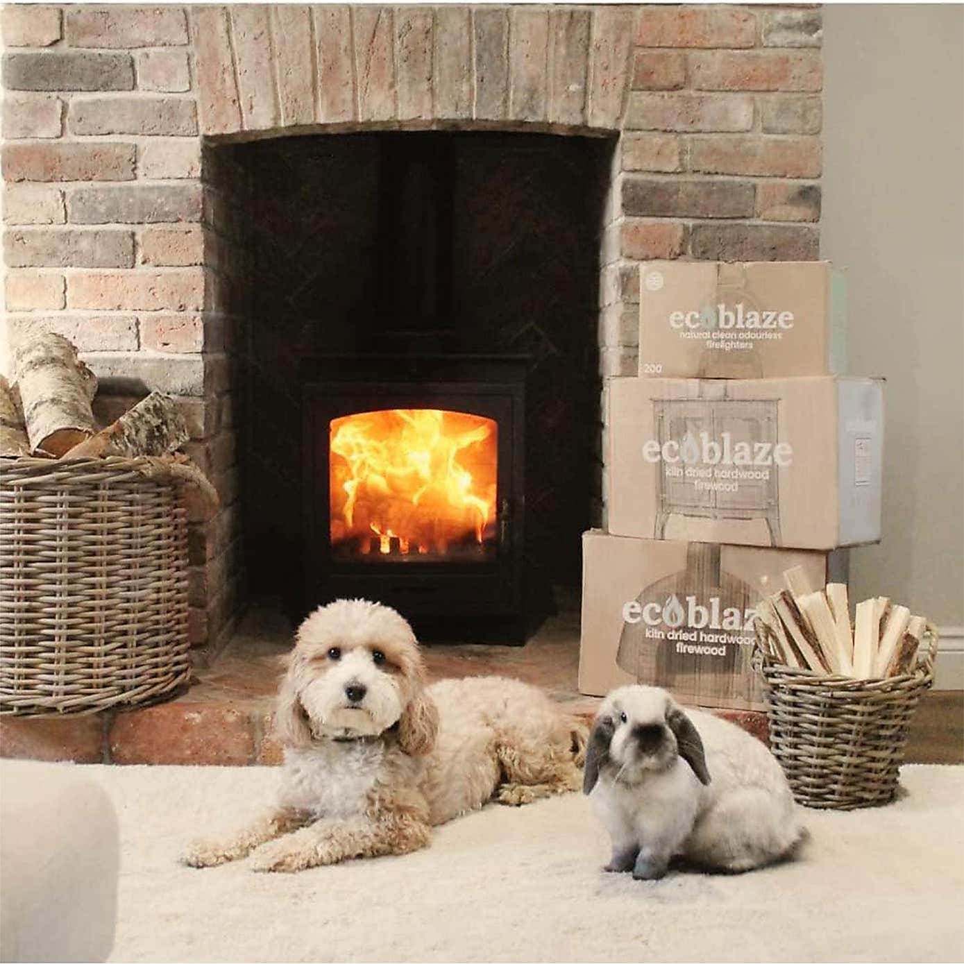 Ecoblaze Pack of 120 Kiln Dried Kindling Wood Sticks