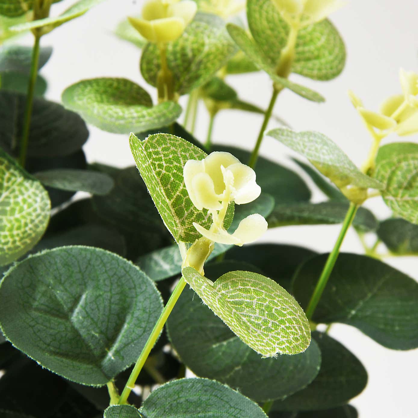 Artificial Eucalyptus in White Plant Pot