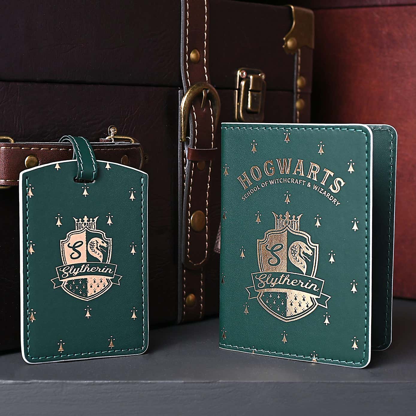 Harry Potter Alumni Slytherin Passport Holder and Luggage Tag Set