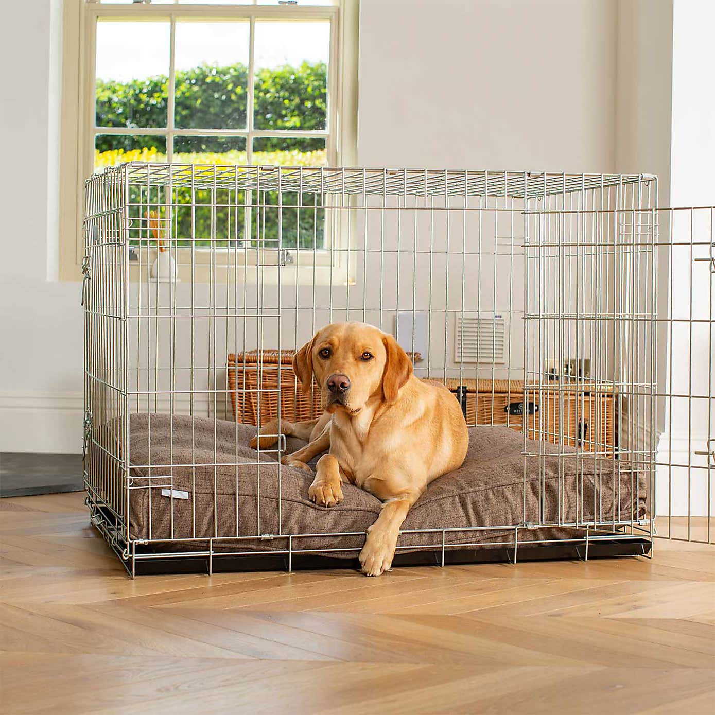 Lords and Labradors Inchmurrin Dog Cushion