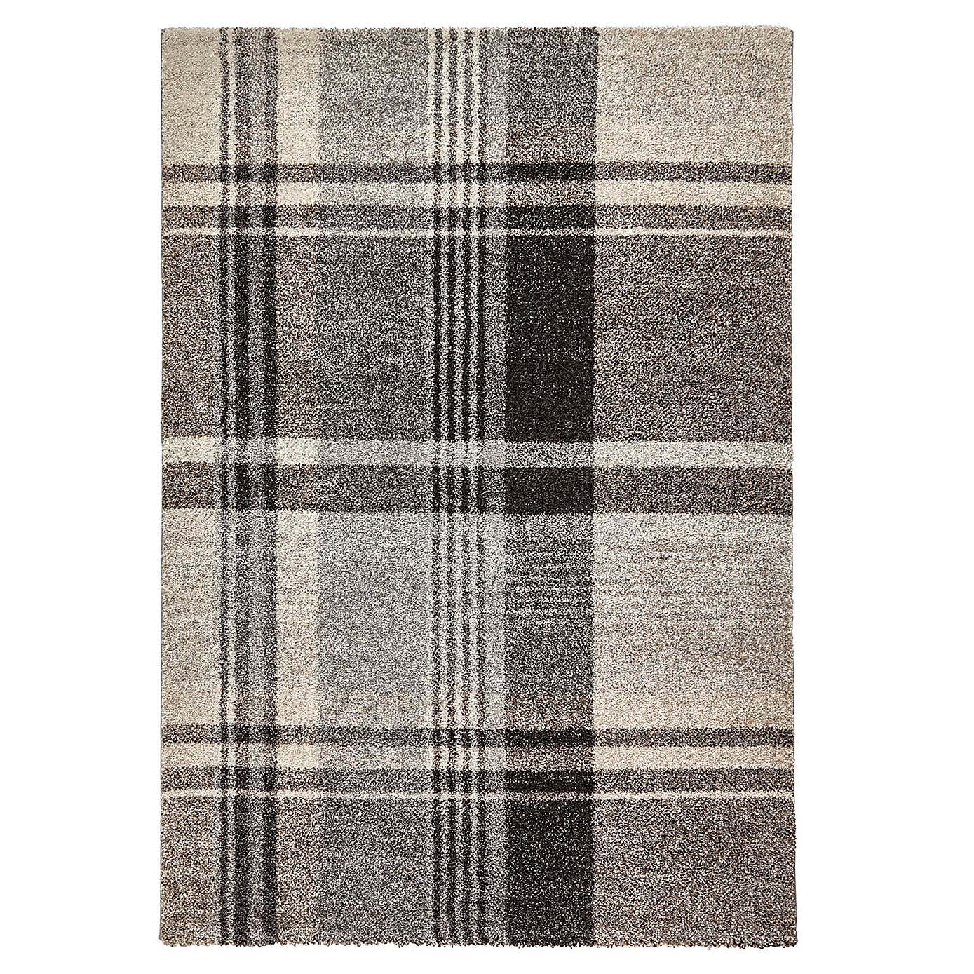 Beige and Black Elegant 4892 Rug