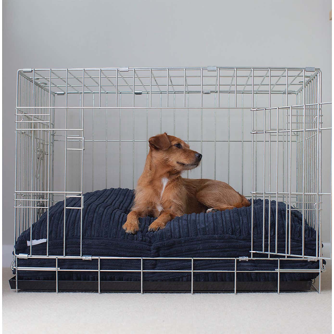 Lords and Labradors Dog Cushion