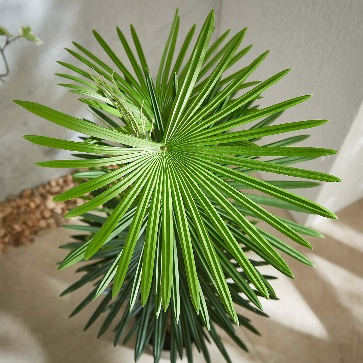 Fan Palm Tree 100cm
