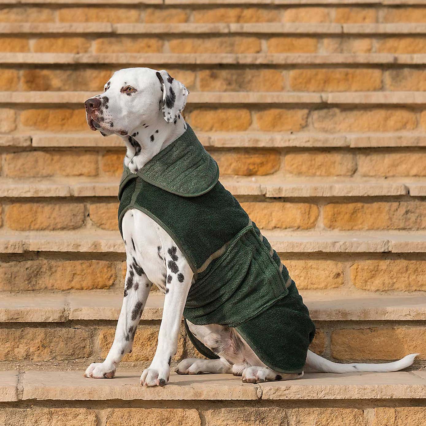Lords and Labradors Bamboo Dog Drying Coat