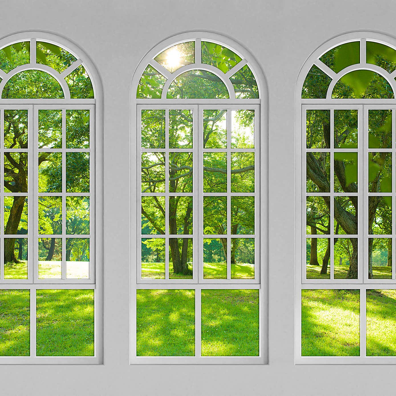 Arch Windows White Mural