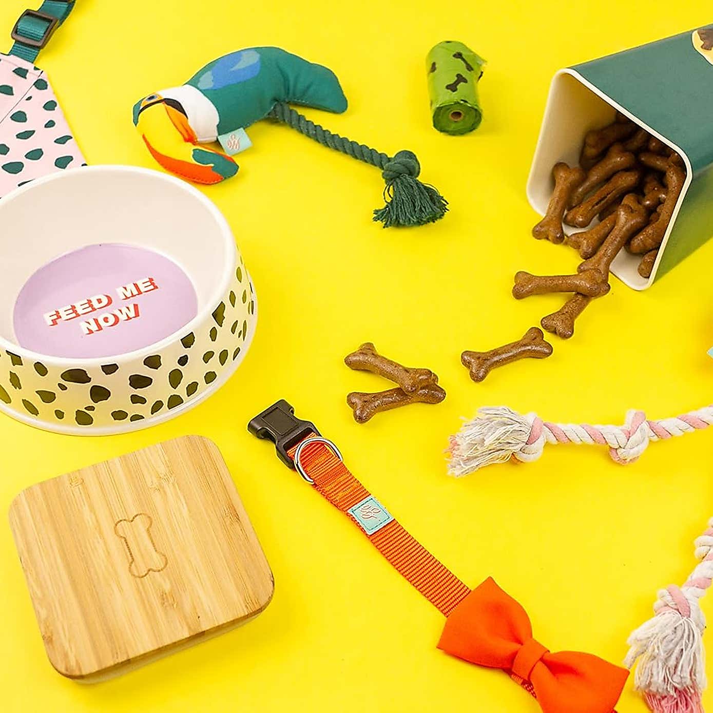 Emily Brooks Toucan Pet Toy