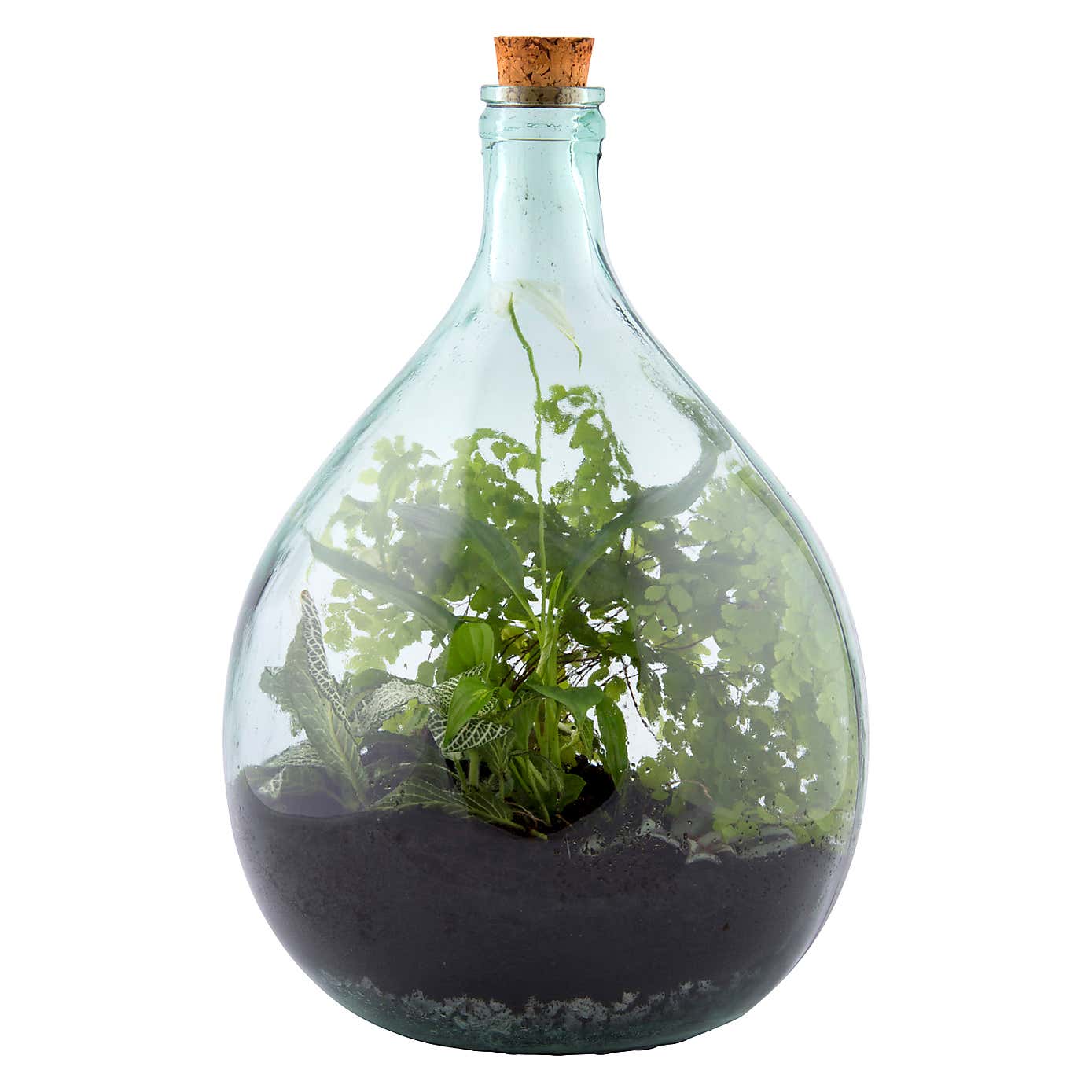 Fallen Fruits 15L Terrarium Bottle and Tools Set