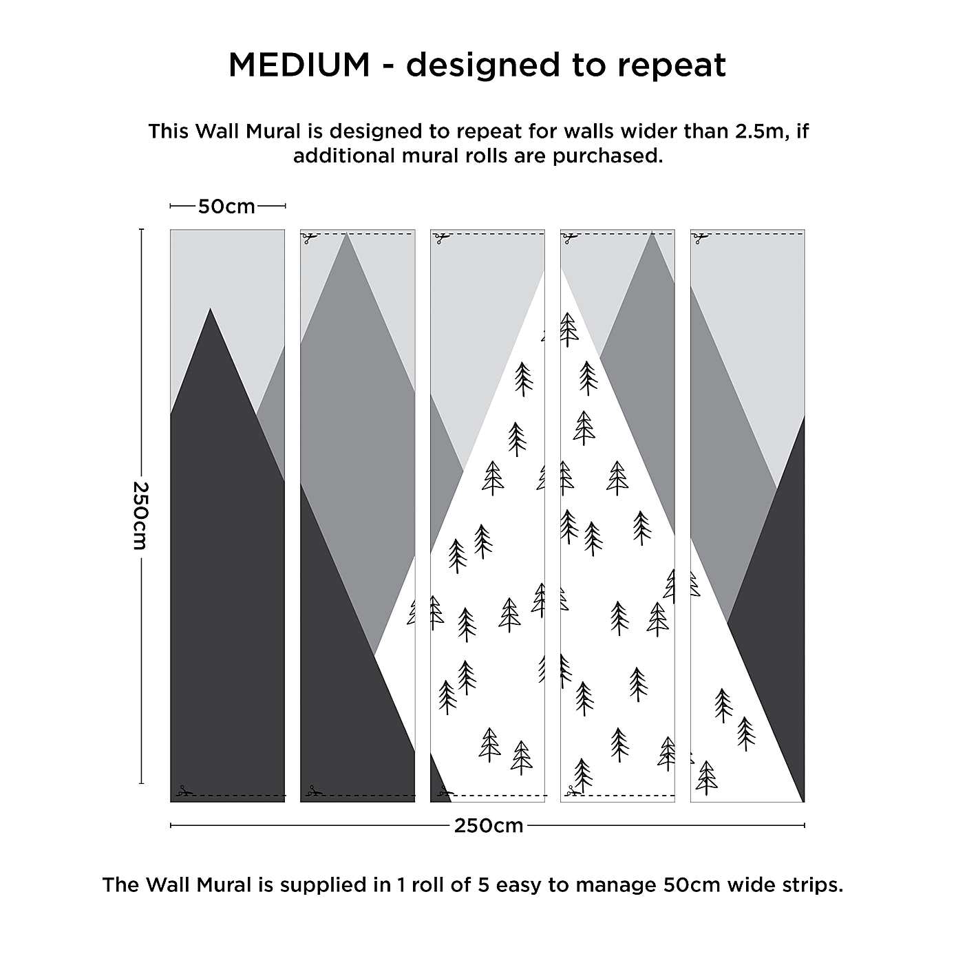Geo Mountain Mono Mural