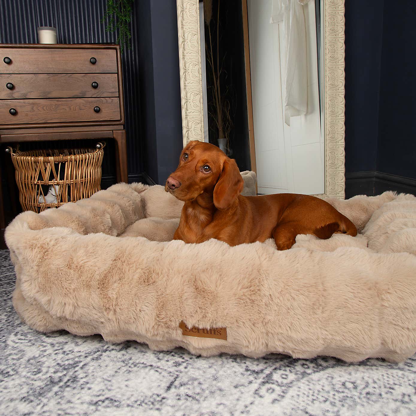 Scruffs Luxurious Alpine Dog Box Bed