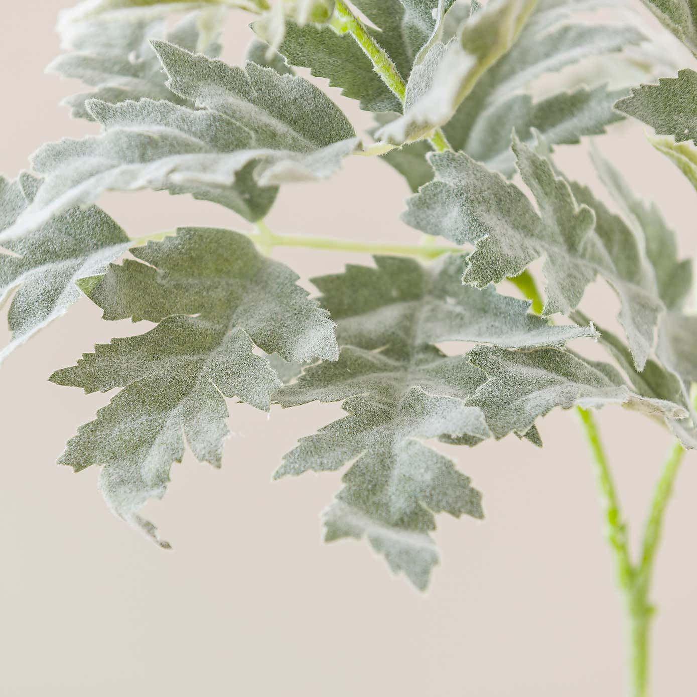 Artificial Dusty Miller Stem