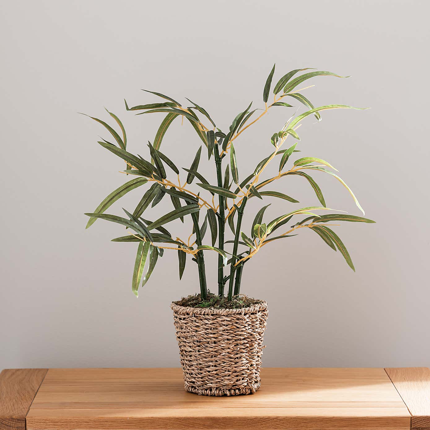 Artificial Small Bamboo in Woven Plant Pot