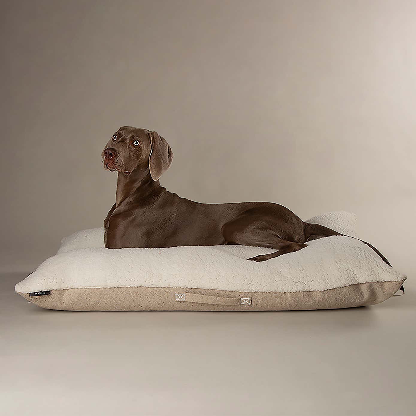 Scruffs 100% Recycled Eden Dog Pillow