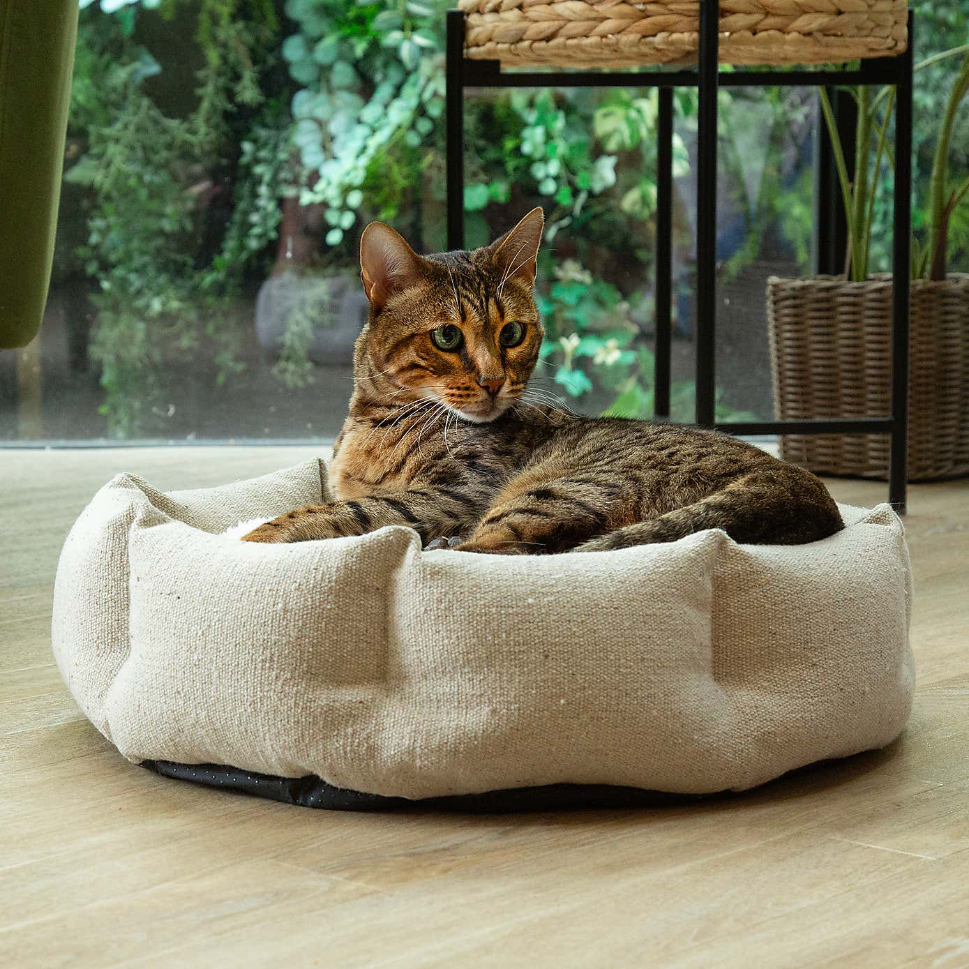 Scruffs 100% Recycled Eden Cat Small Dog Bed