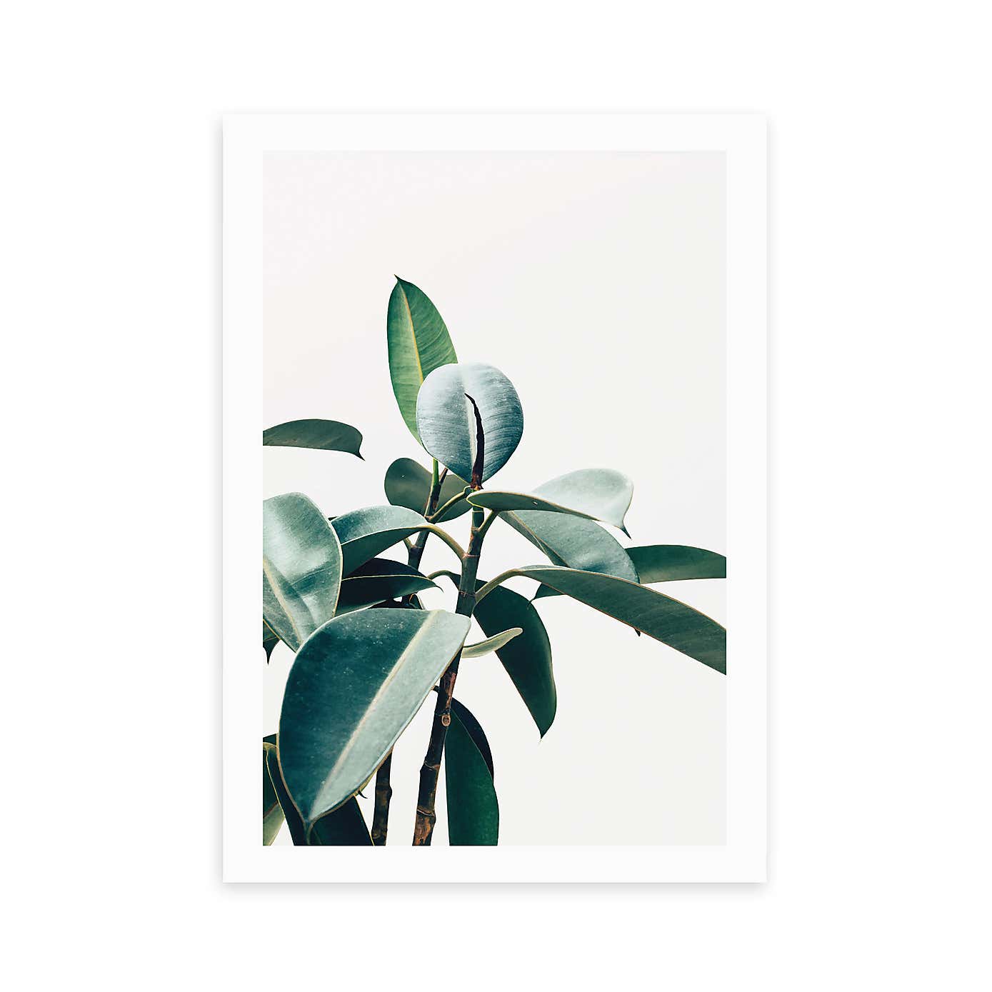 East End Prints L'amour De Ma Vie Print