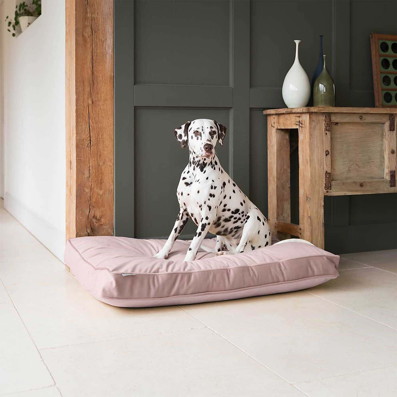 Lords and Labradors Velvet Dog Cushion