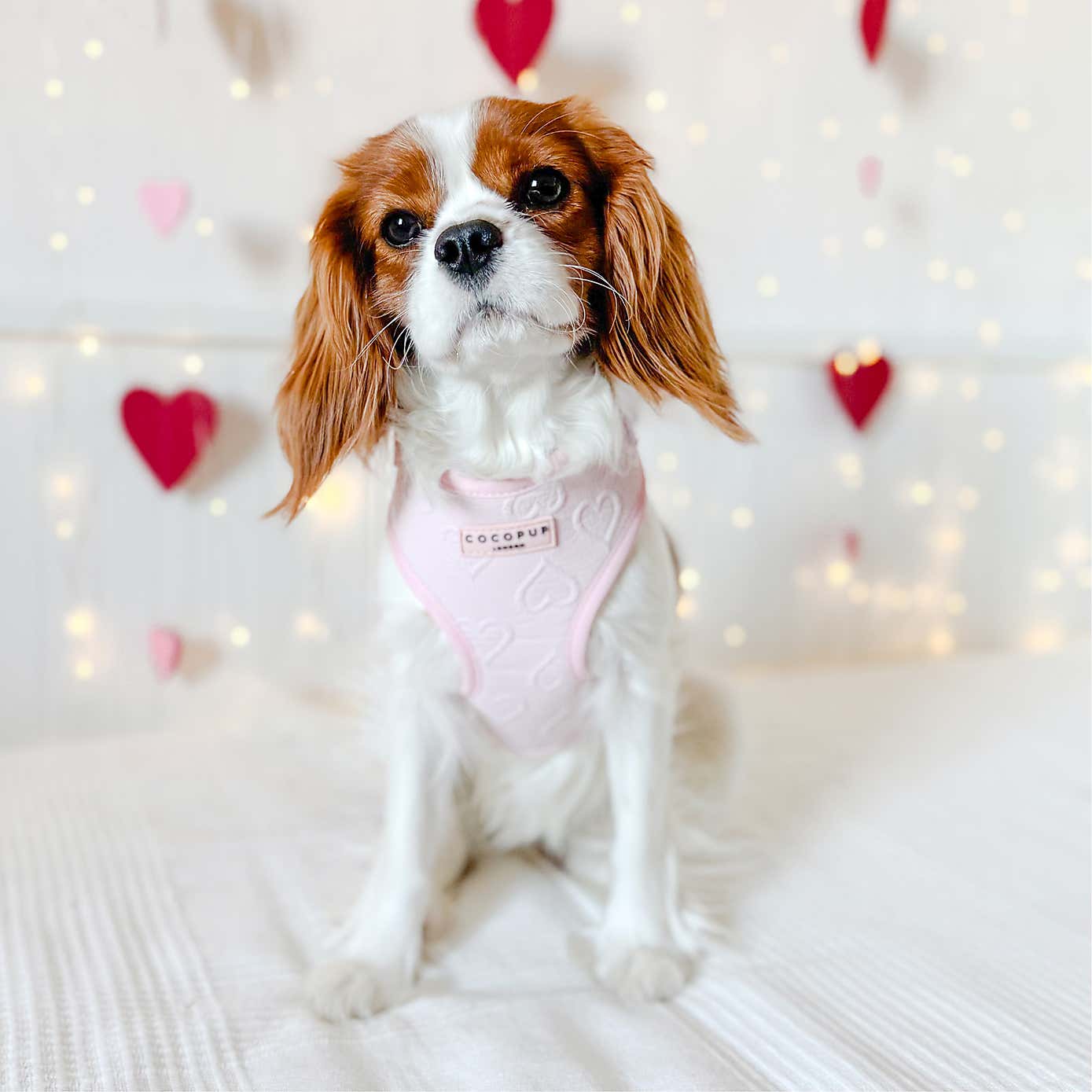 Cocopup Heart Dog Harness