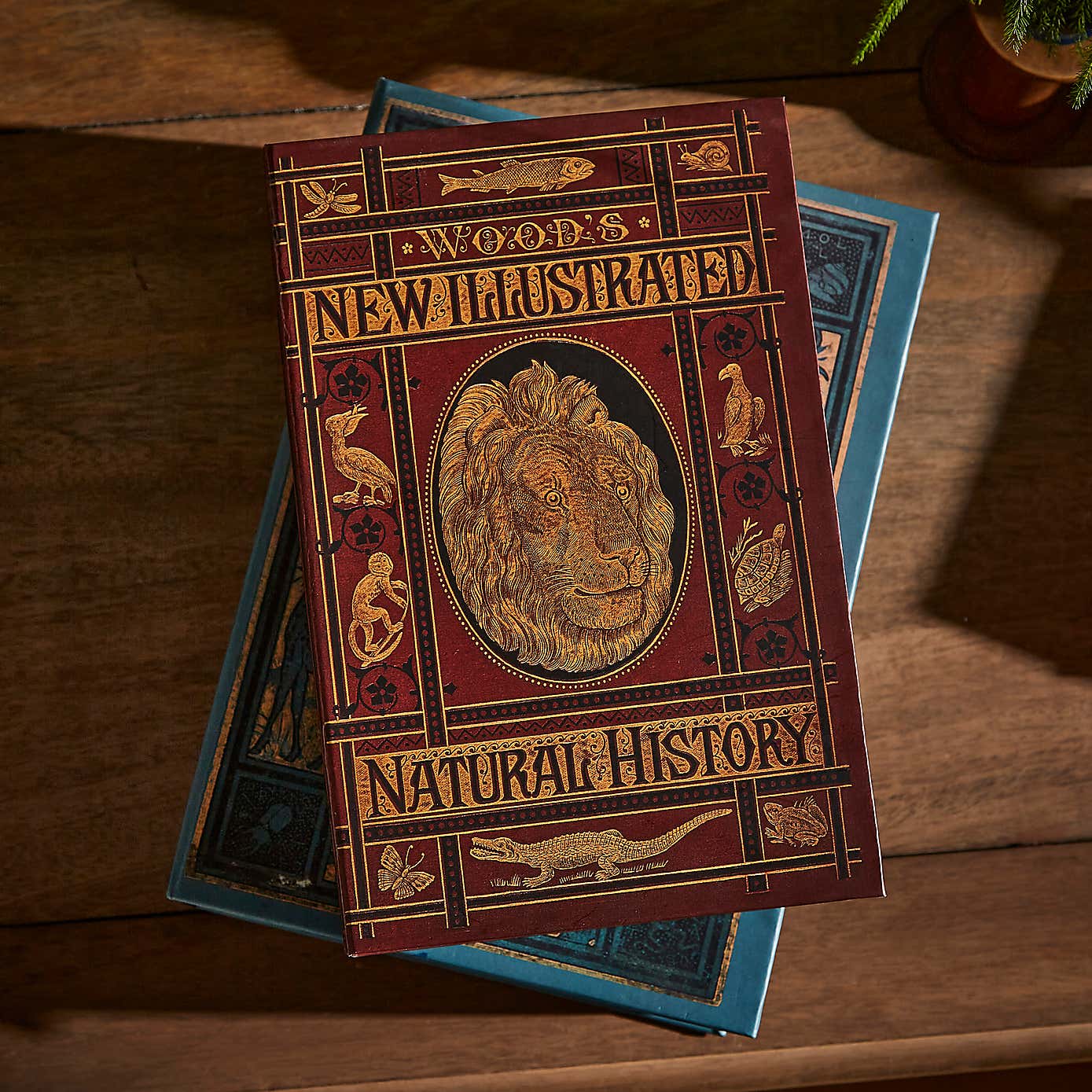 Set of 2 Storage Books