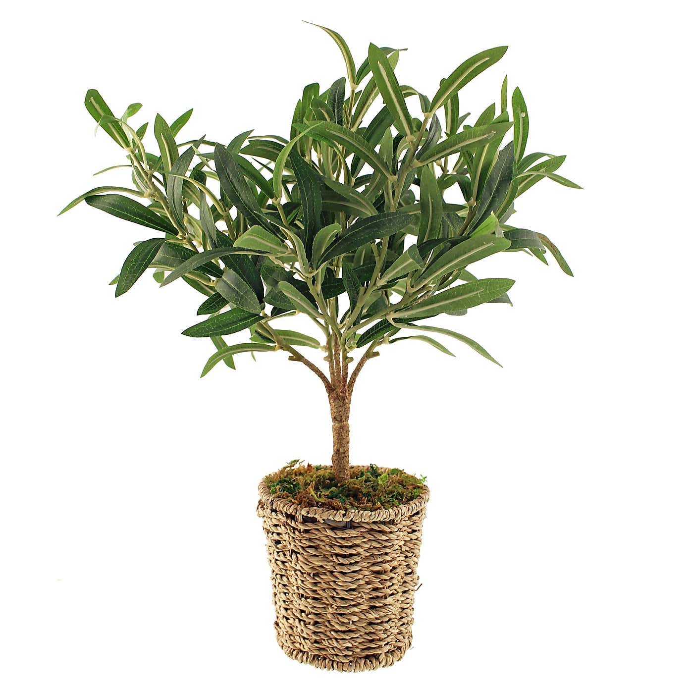 Churchgate Artificial Small Olive Tree in Woven Plant Pot